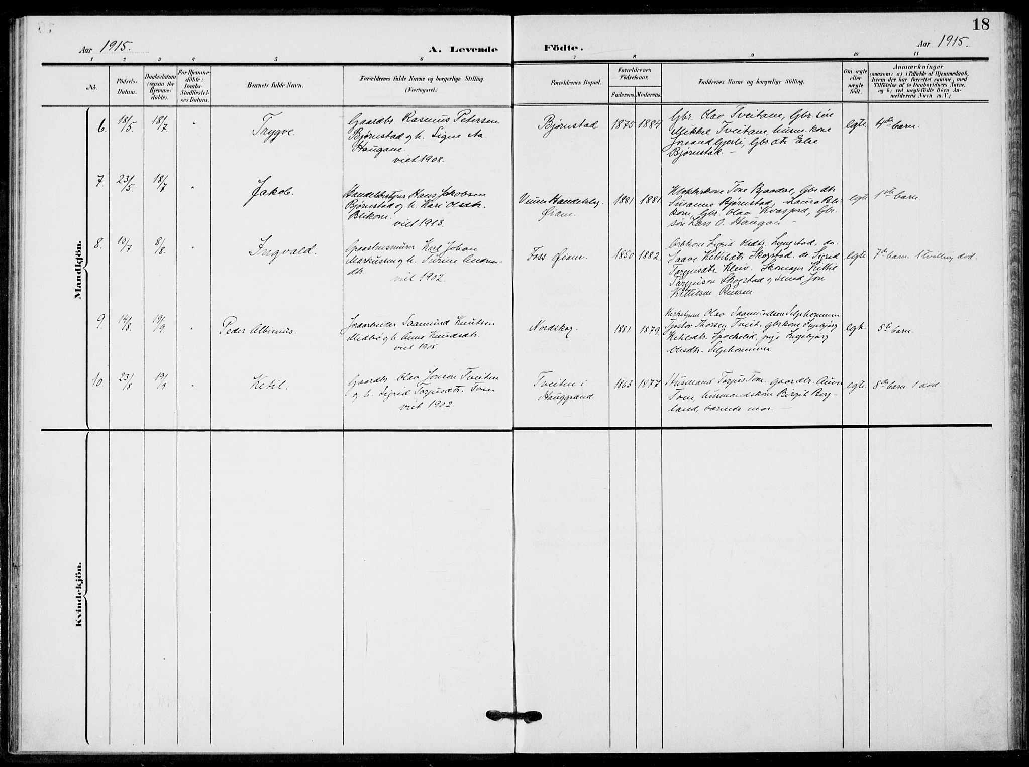 Fyresdal kirkebøker, SAKO/A-263/F/Fb/L0004: Parish register (official) no. II 4, 1903-1920, p. 18