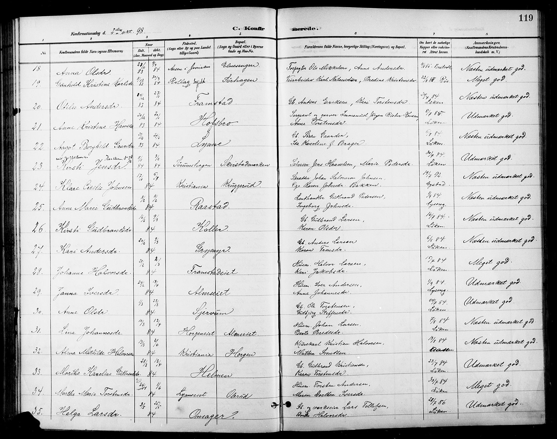 Gran prestekontor, AV/SAH-PREST-112/H/Ha/Haa/L0019: Parish register (official) no. 19, 1898-1907, p. 119