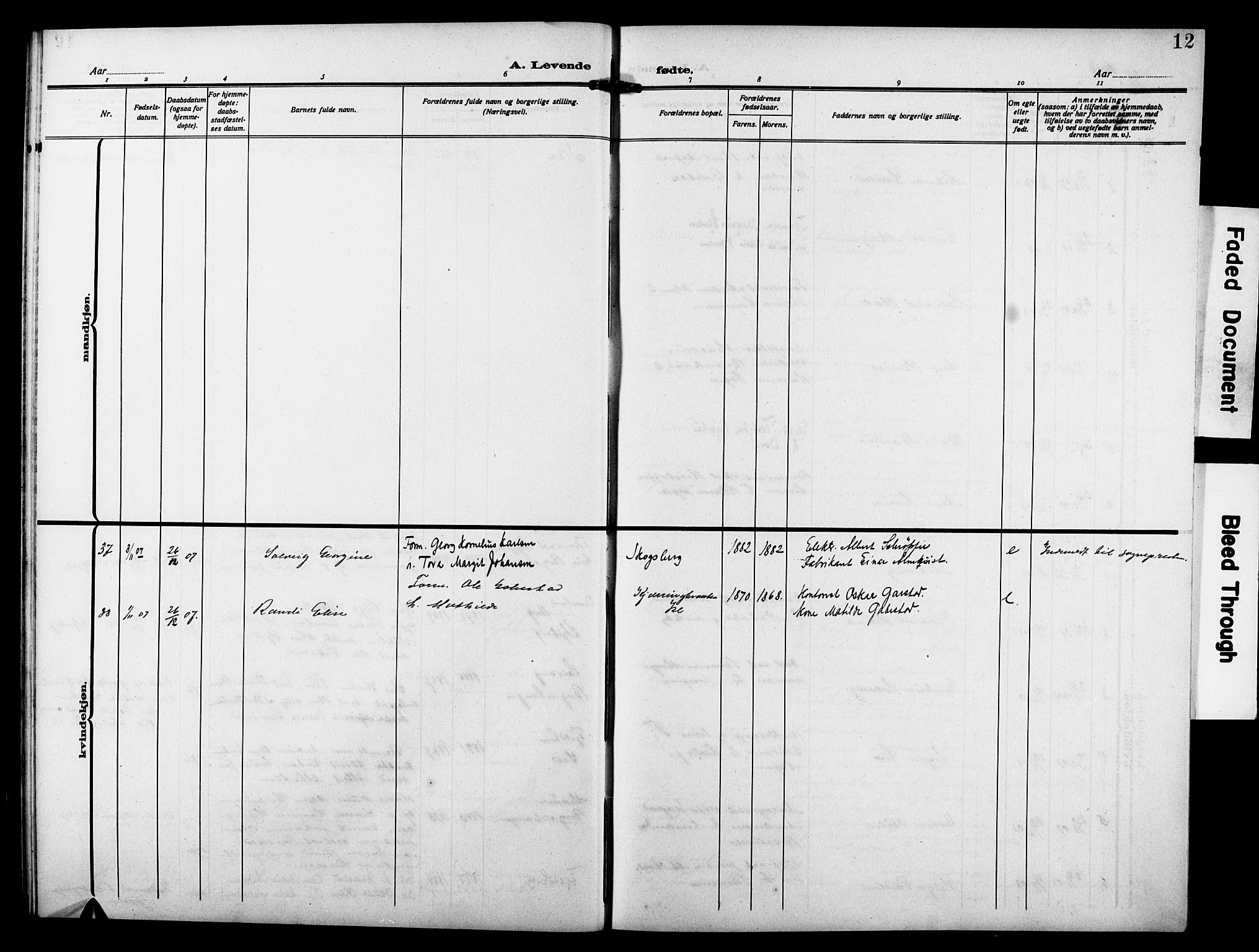 Skjeberg prestekontor Kirkebøker, AV/SAO-A-10923/G/Gd/L0001: Parish register (copy) no. IV 1, 1907-1917, p. 12