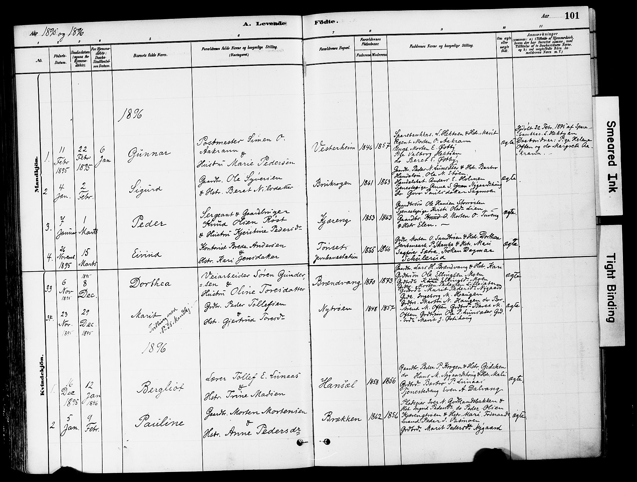 Tynset prestekontor, SAH/PREST-058/H/Ha/Haa/L0022: Parish register (official) no. 22, 1880-1899, p. 101