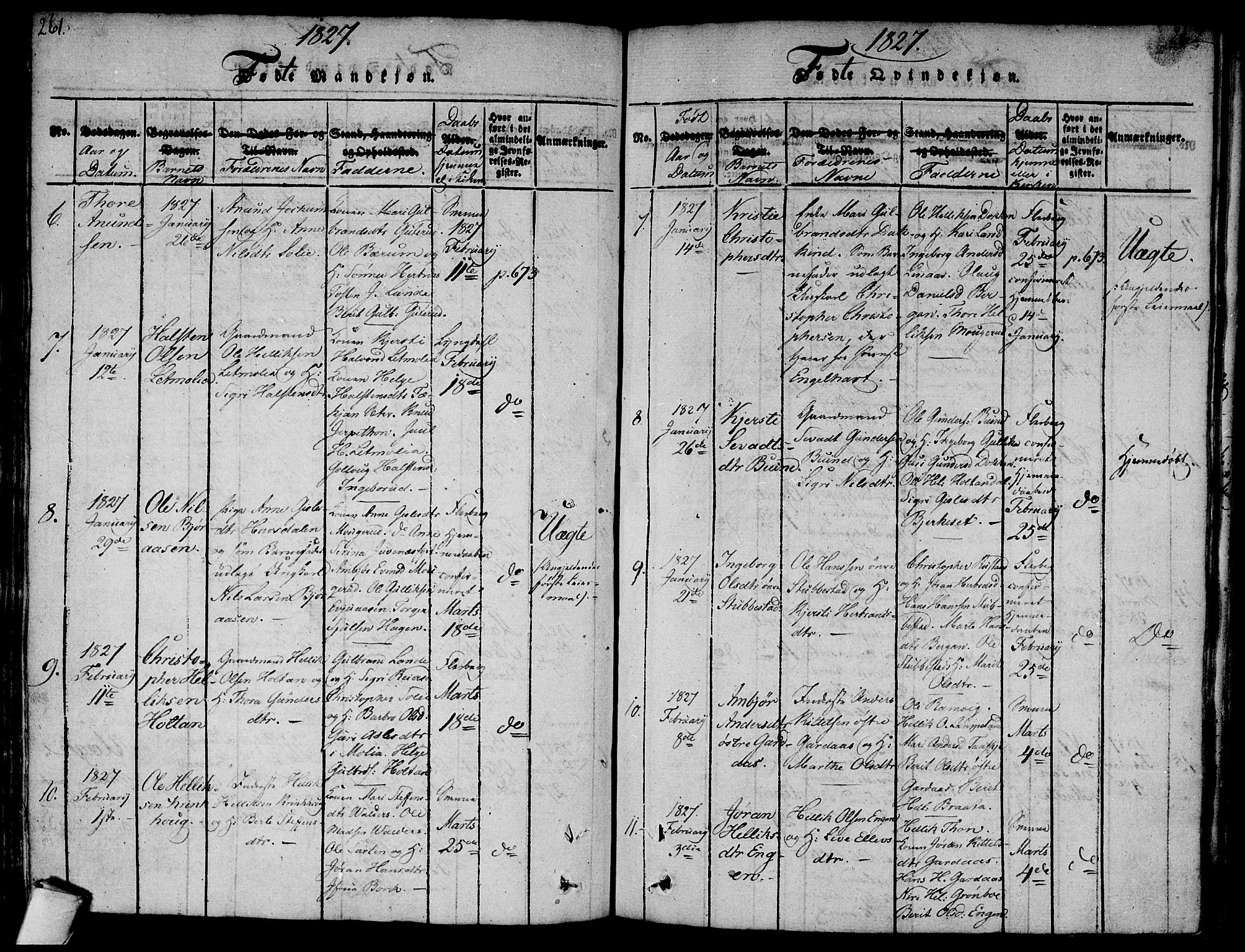 Flesberg kirkebøker, AV/SAKO-A-18/F/Fa/L0005: Parish register (official) no. I 5, 1816-1834, p. 261-262