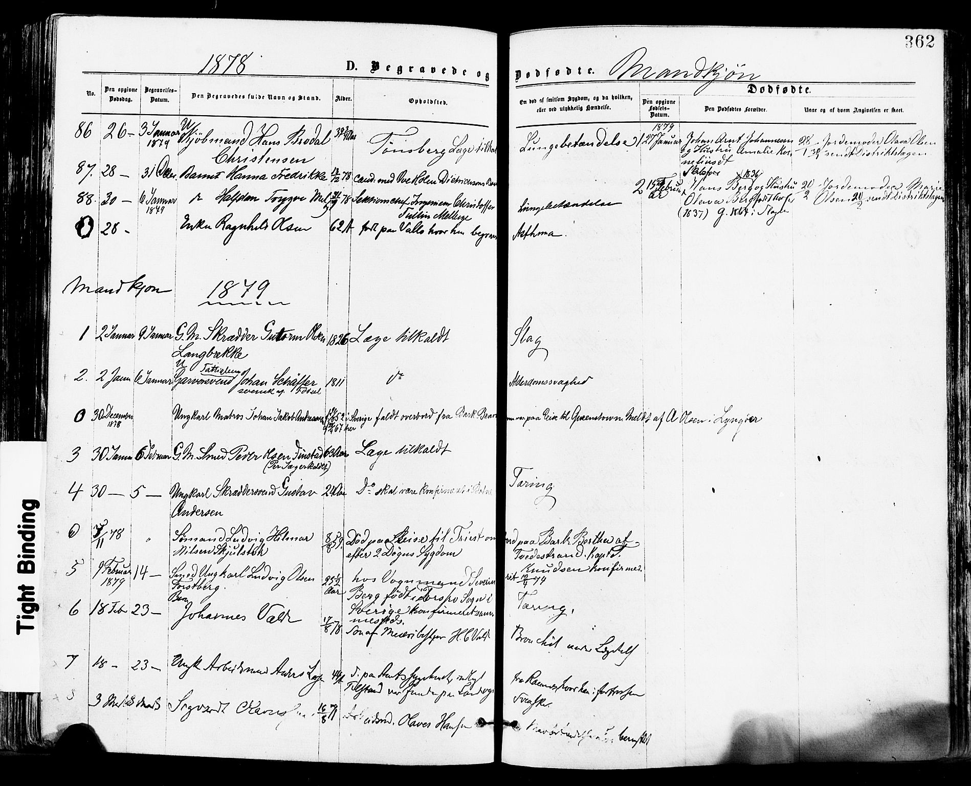 Tønsberg kirkebøker, AV/SAKO-A-330/F/Fa/L0010: Parish register (official) no. I 10, 1874-1880, p. 362