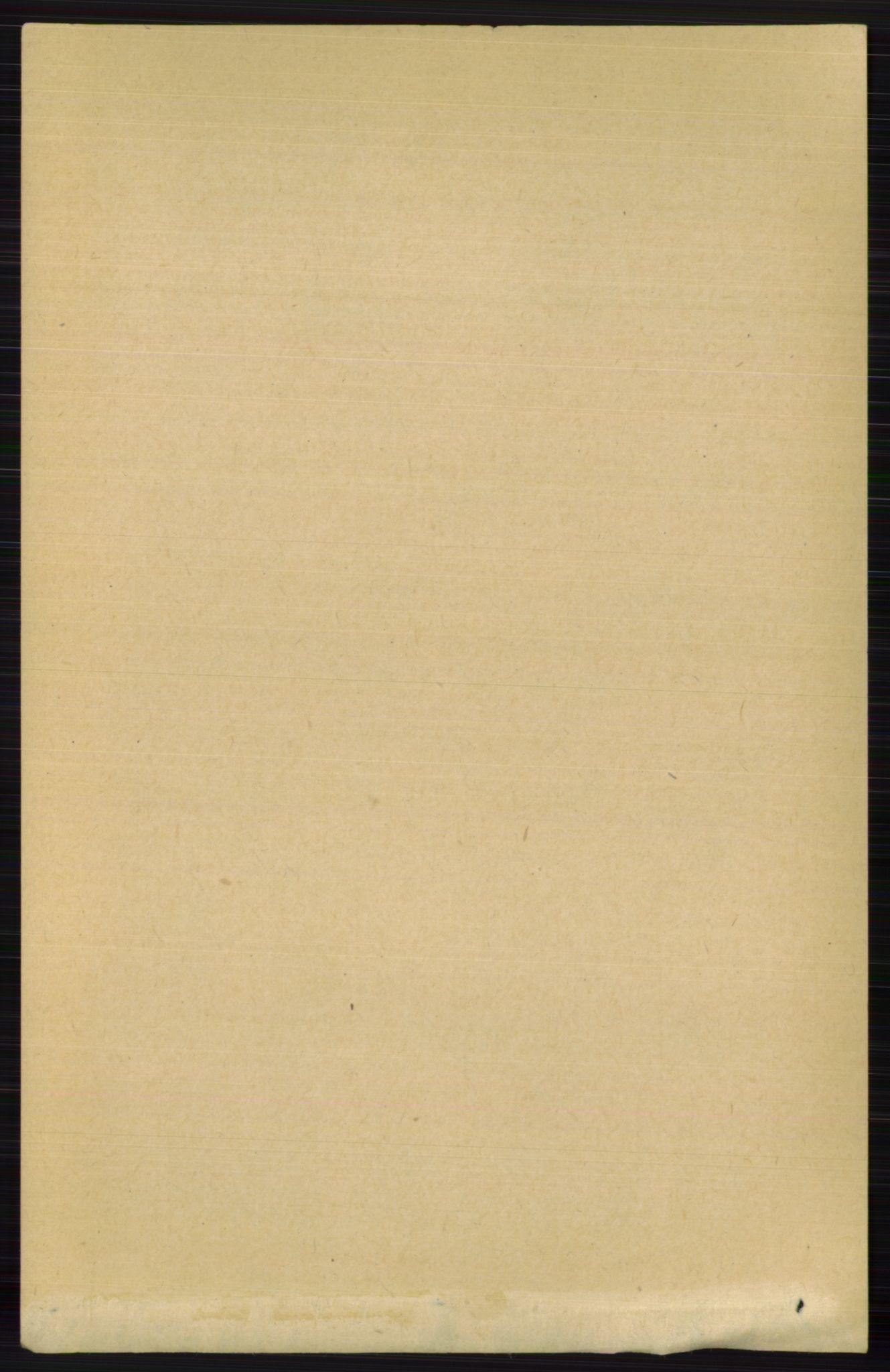 RA, 1891 census for 0616 Nes, 1891, p. 2111