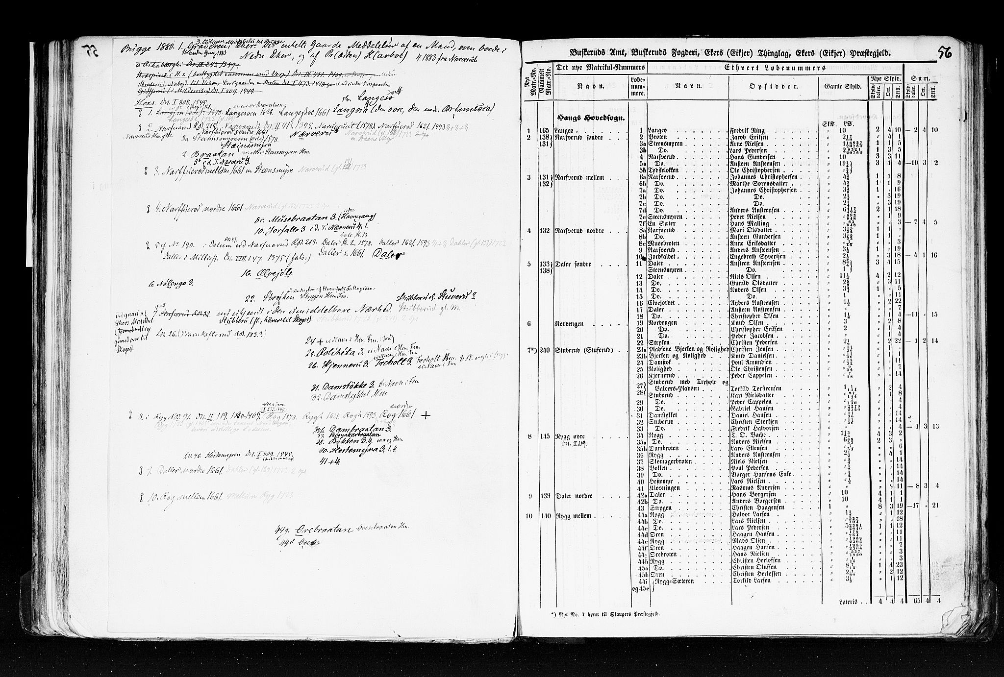 Rygh, AV/RA-PA-0034/F/Fb/L0005: Matrikkelen for 1838 - Buskerud amt (Buskerud fylke), 1838, p. 56a