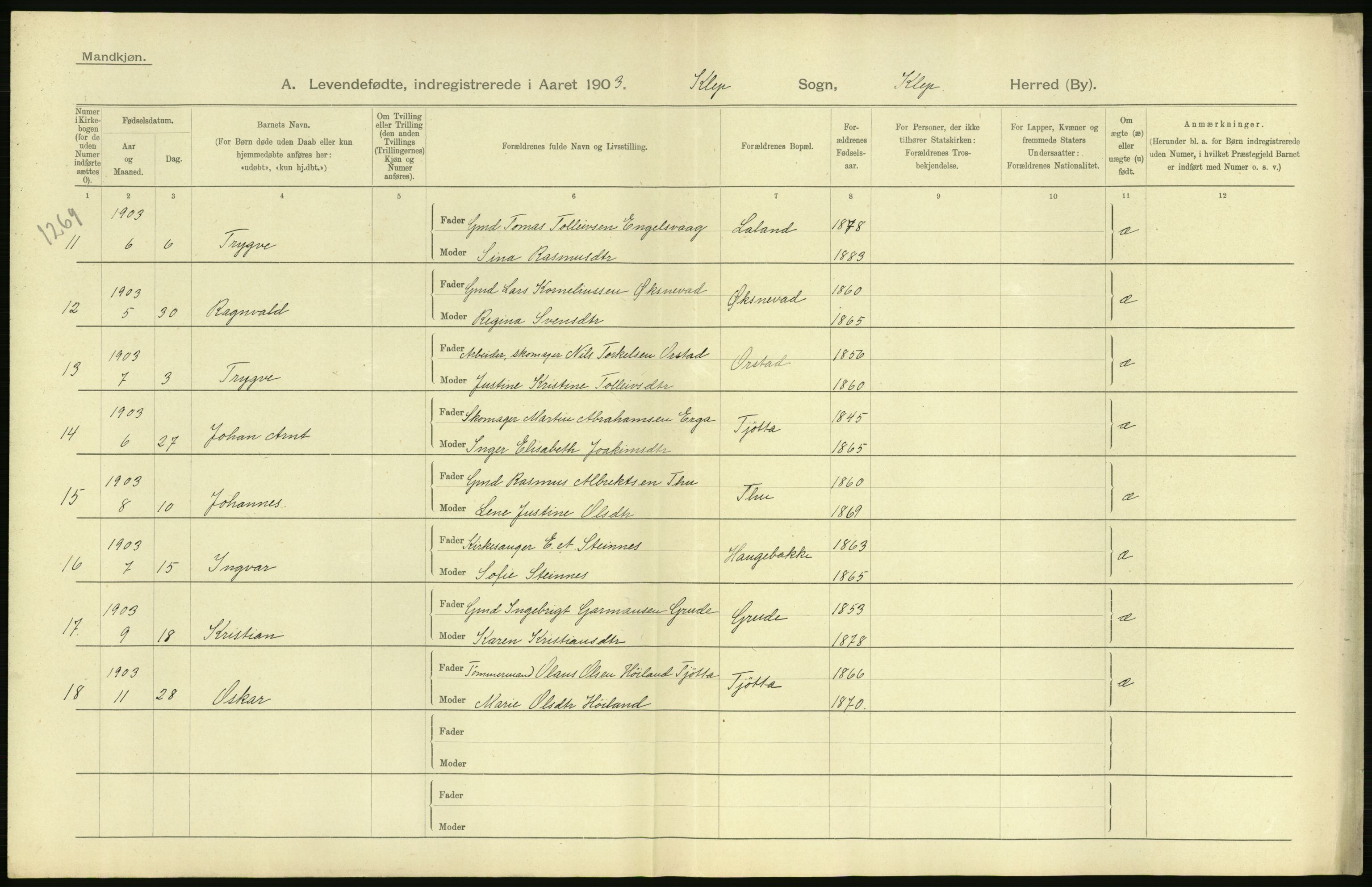 Statistisk sentralbyrå, Sosiodemografiske emner, Befolkning, AV/RA-S-2228/D/Df/Dfa/Dfaa/L0012: Stavanger amt: Fødte, gifte, døde, 1903, p. 40