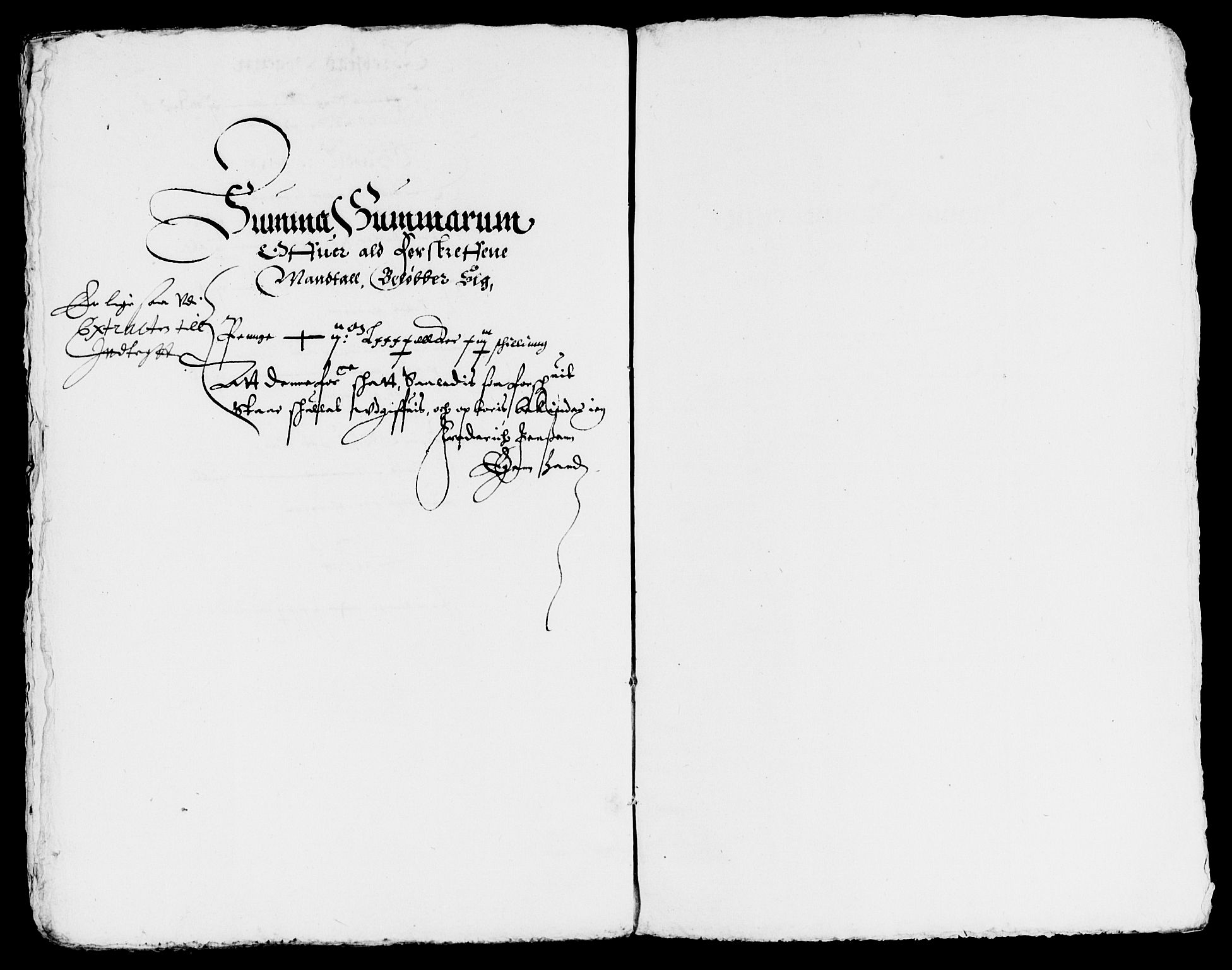 Rentekammeret inntil 1814, Reviderte regnskaper, Lensregnskaper, AV/RA-EA-5023/R/Rb/Rbq/L0018: Nedenes len. Mandals len. Råbyggelag., 1628-1630