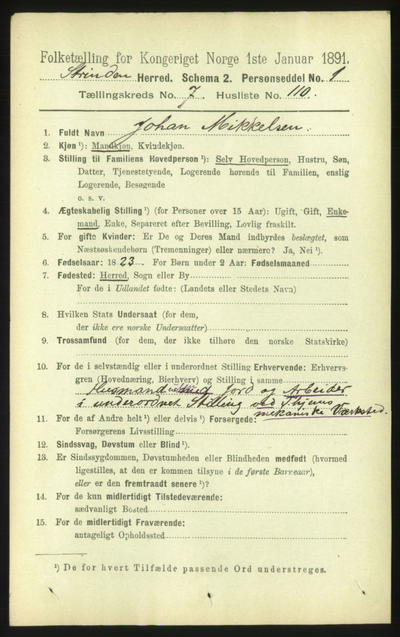 RA, 1891 census for 1660 Strinda, 1891, p. 6963