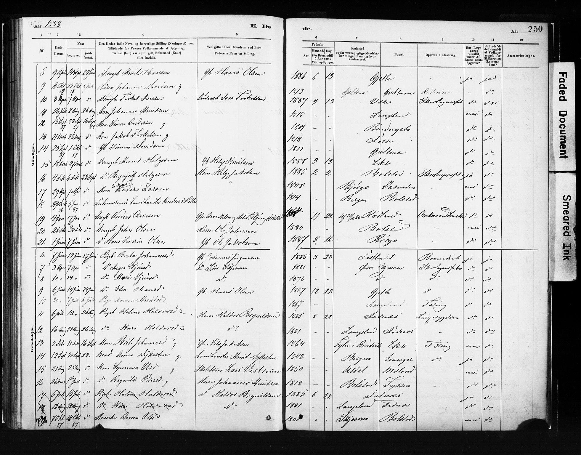 Evanger sokneprestembete, SAB/A-99924: Parish register (official) no. A 1, 1877-1899, p. 250