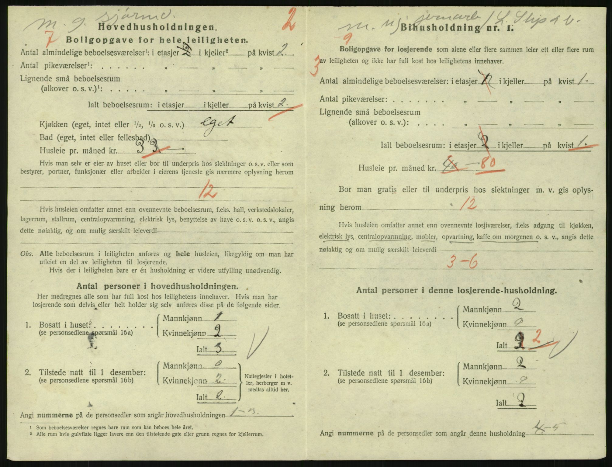 SAKO, 1920 census for Larvik, 1920, p. 8653