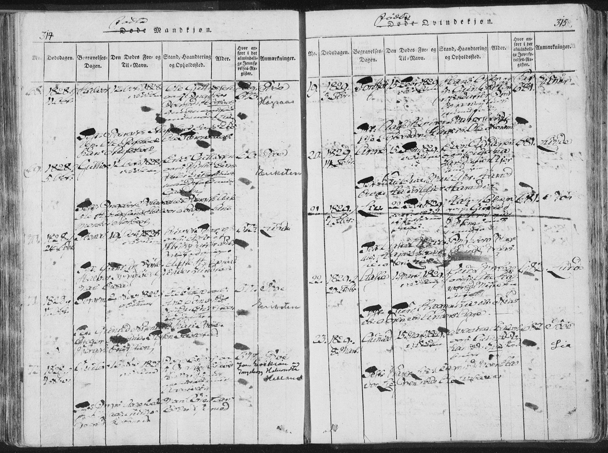 Bø kirkebøker, AV/SAKO-A-257/F/Fa/L0006: Parish register (official) no. 6, 1815-1831, p. 314-315