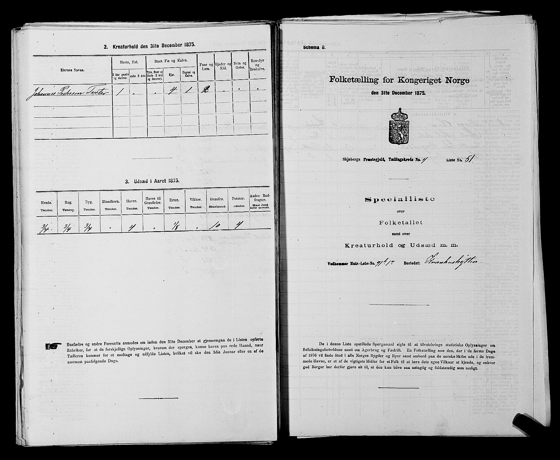 RA, 1875 census for 0115P Skjeberg, 1875, p. 810