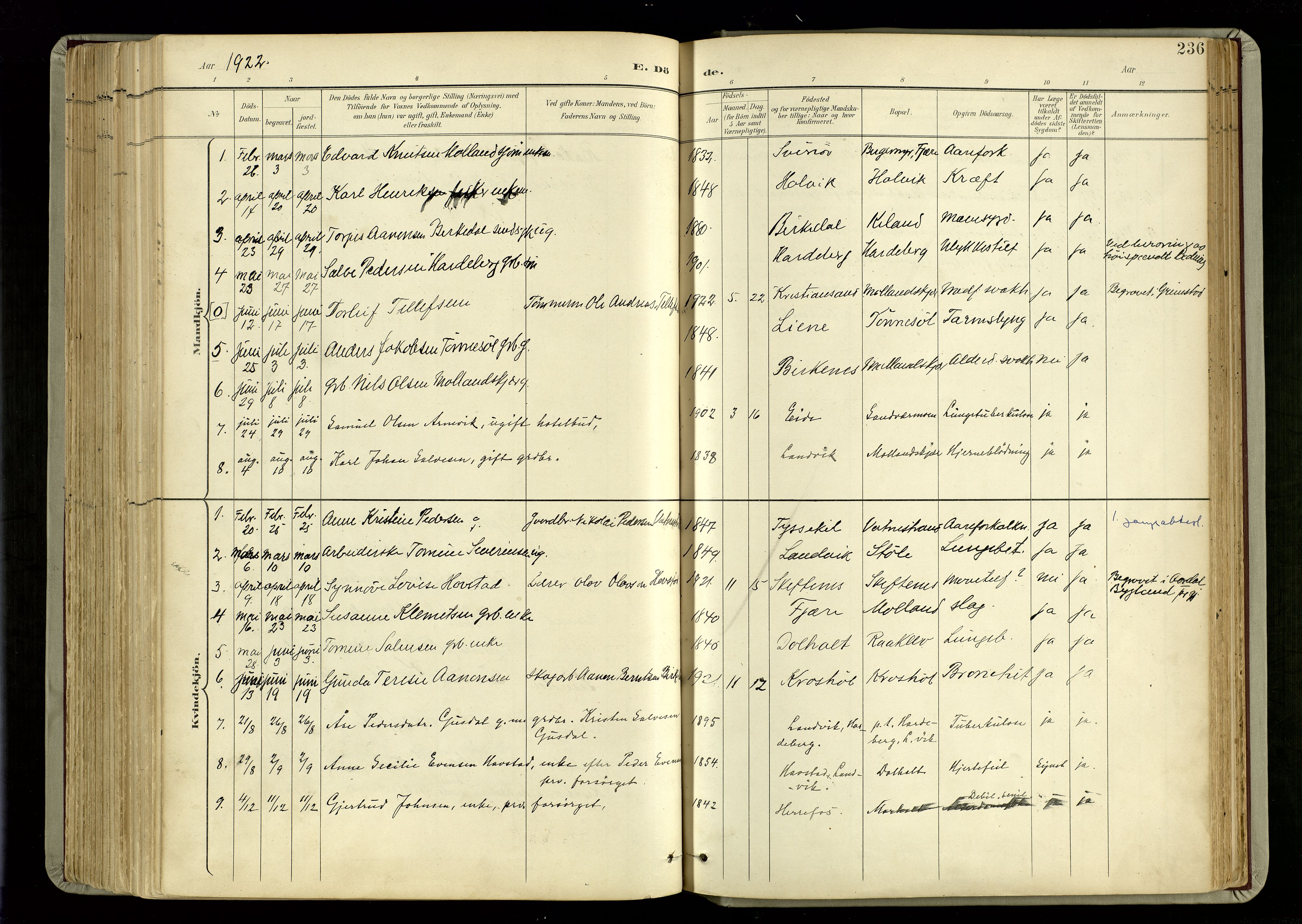 Hommedal sokneprestkontor, SAK/1111-0023/F/Fa/Fab/L0007: Parish register (official) no. A 7, 1898-1924, p. 236