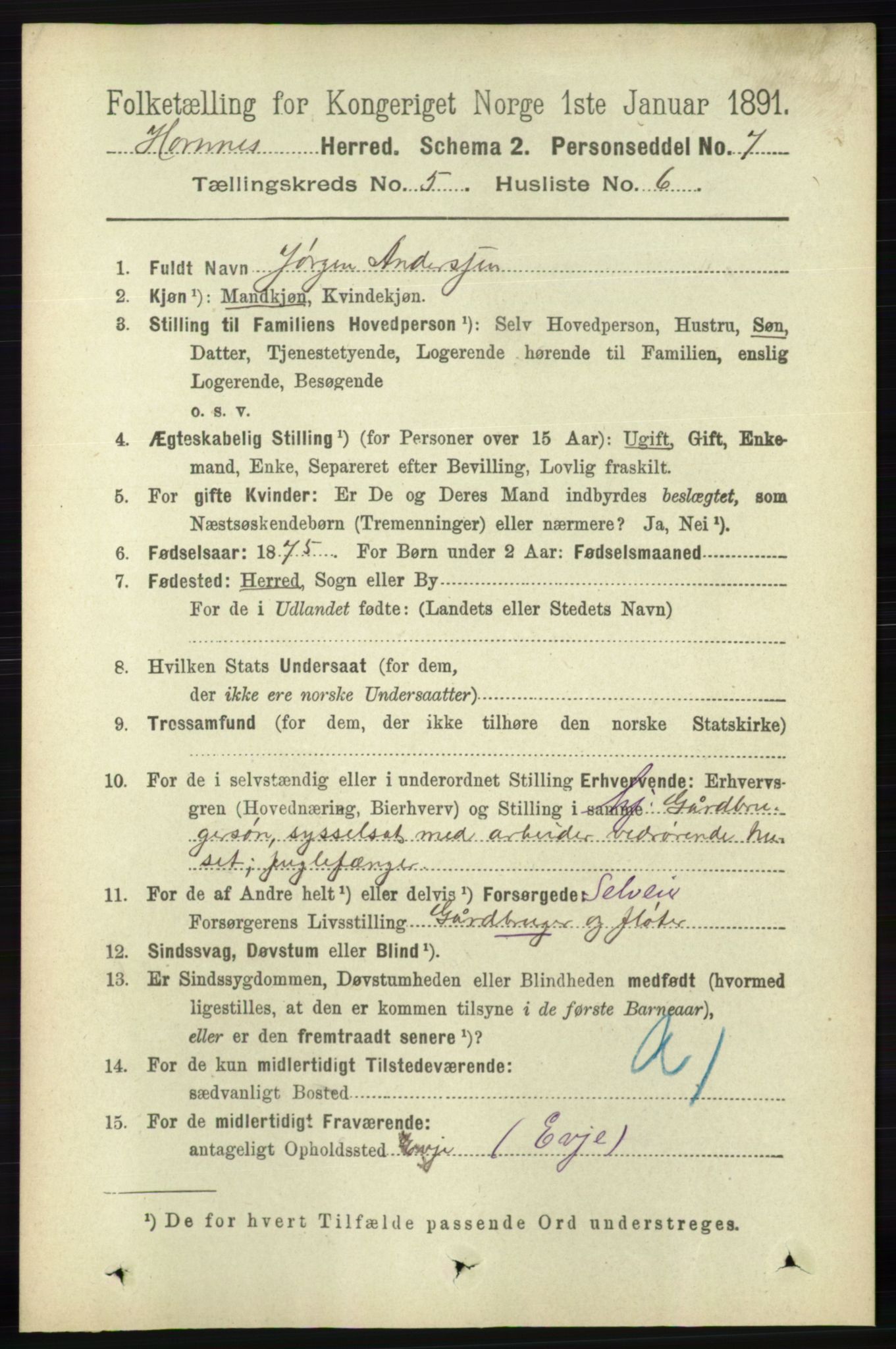 RA, 1891 census for 0936 Hornnes, 1891, p. 1394