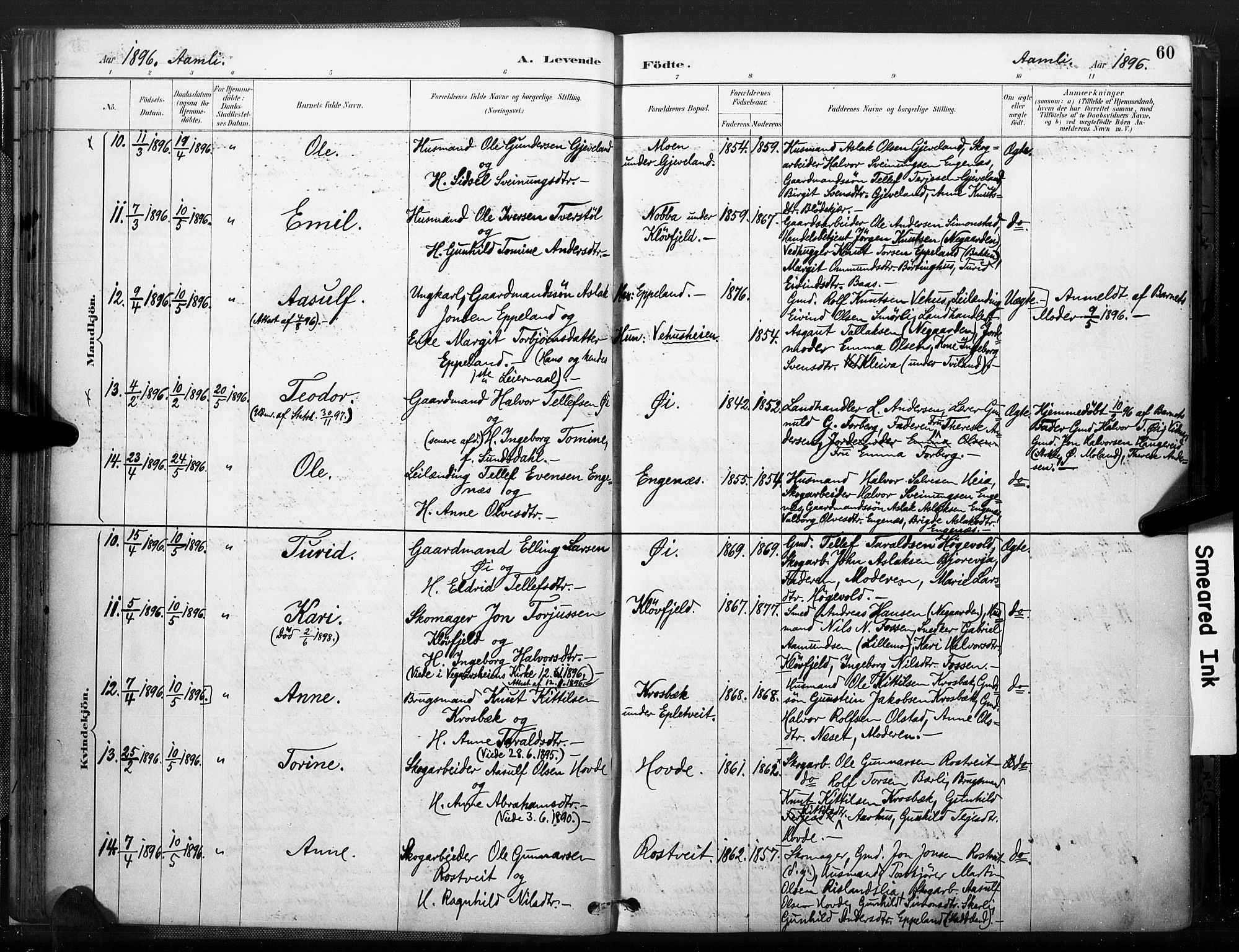 Åmli sokneprestkontor, AV/SAK-1111-0050/F/Fa/Fac/L0010: Parish register (official) no. A 10 /1, 1885-1899, p. 60