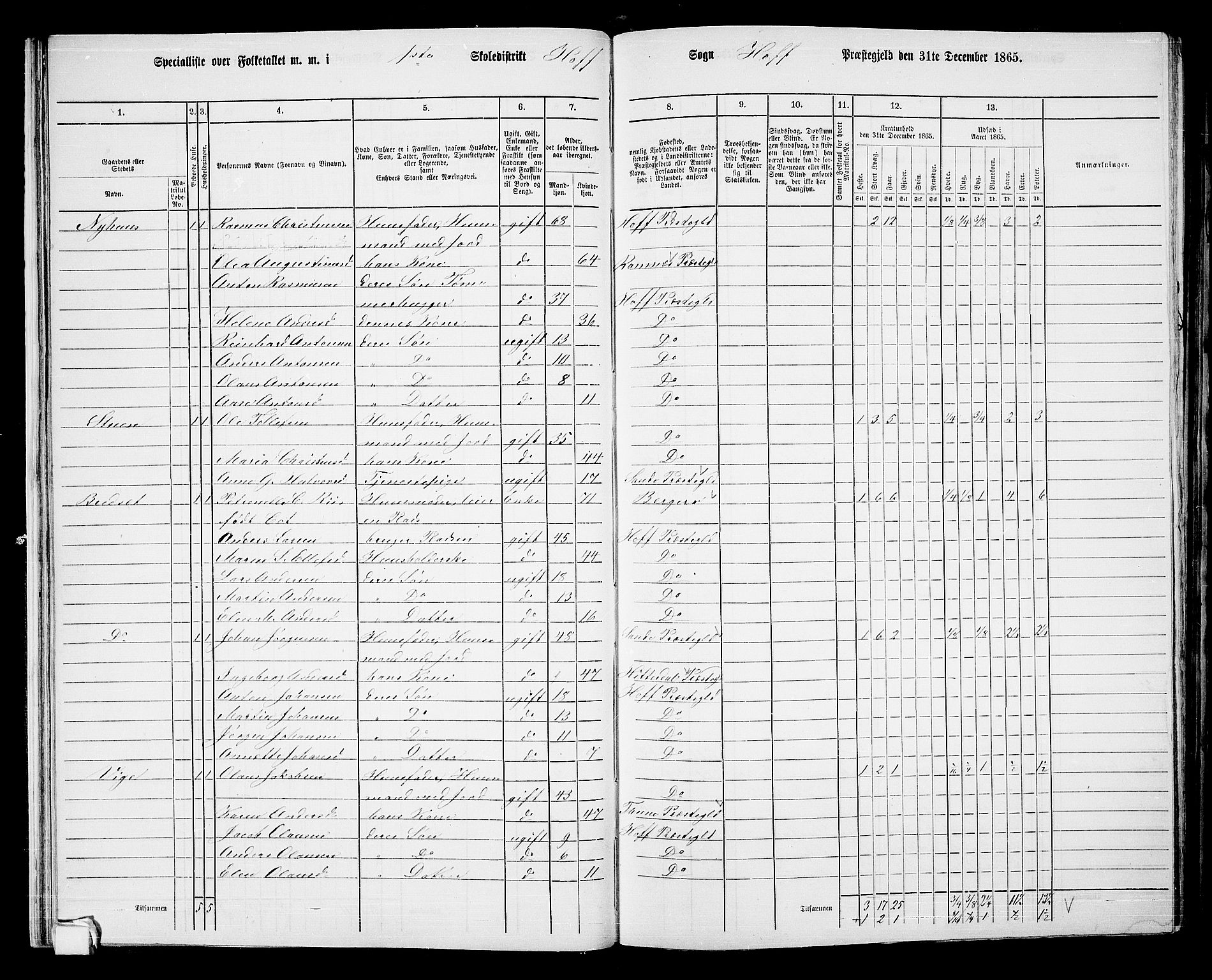 RA, 1865 census for Hof, 1865, p. 30