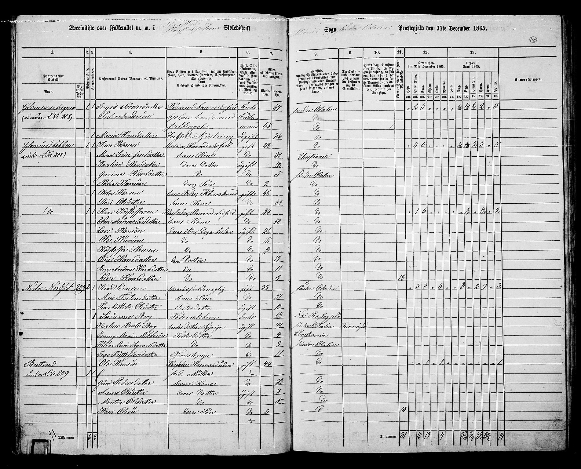 RA, 1865 census for Sør-Odal, 1865, p. 100