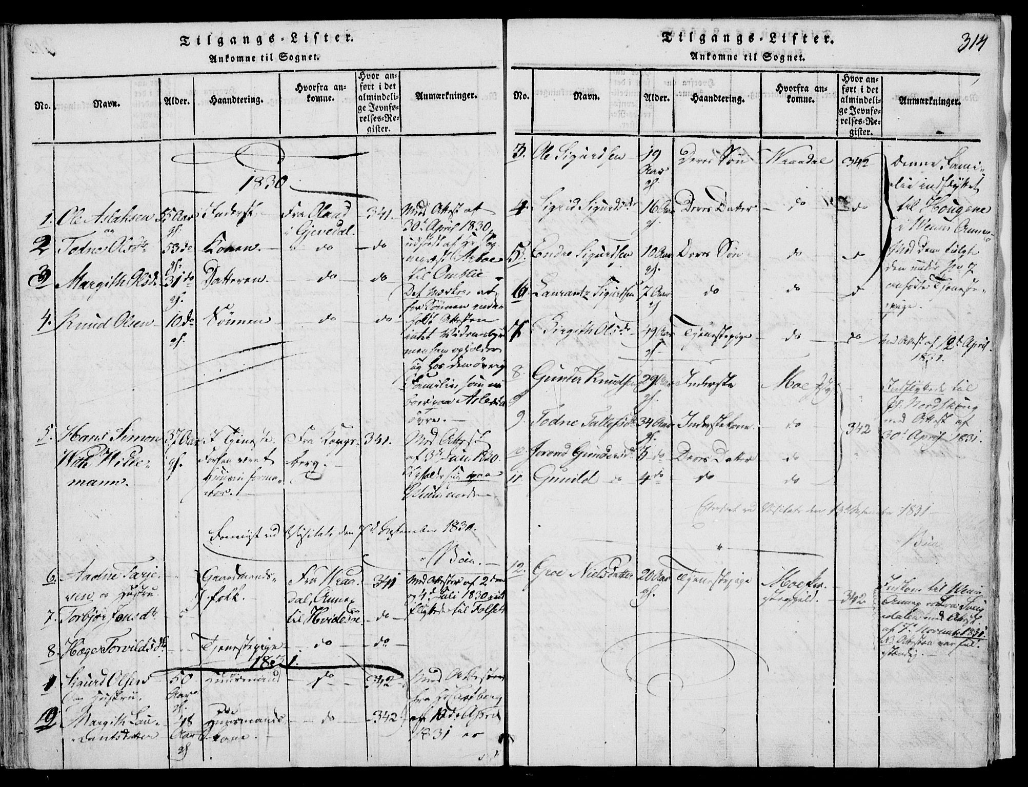 Fyresdal kirkebøker, SAKO/A-263/F/Fb/L0001: Parish register (official) no. II 1, 1815-1854, p. 314