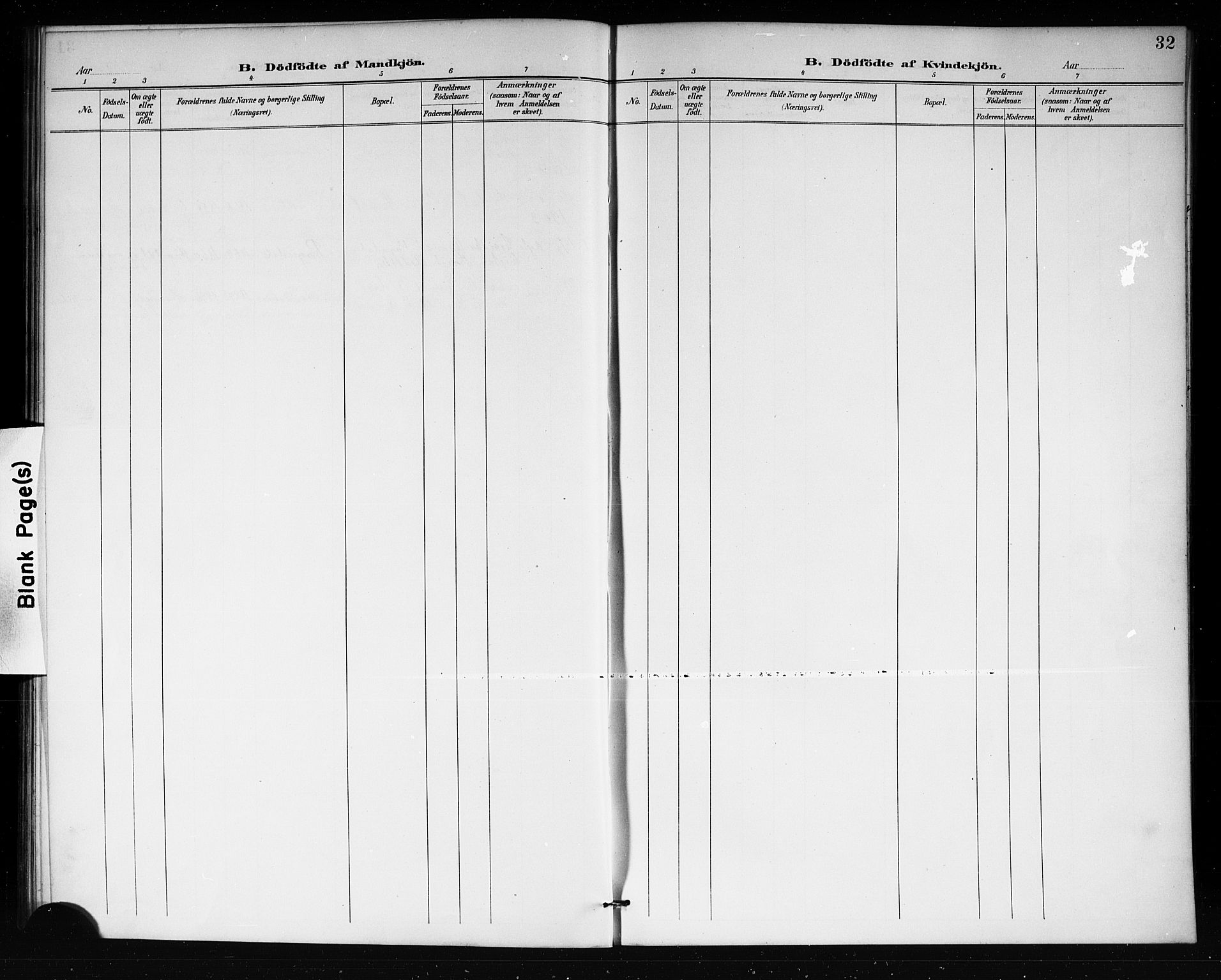 Lårdal kirkebøker, SAKO/A-284/G/Gb/L0003: Parish register (copy) no. II 3, 1889-1920, p. 32