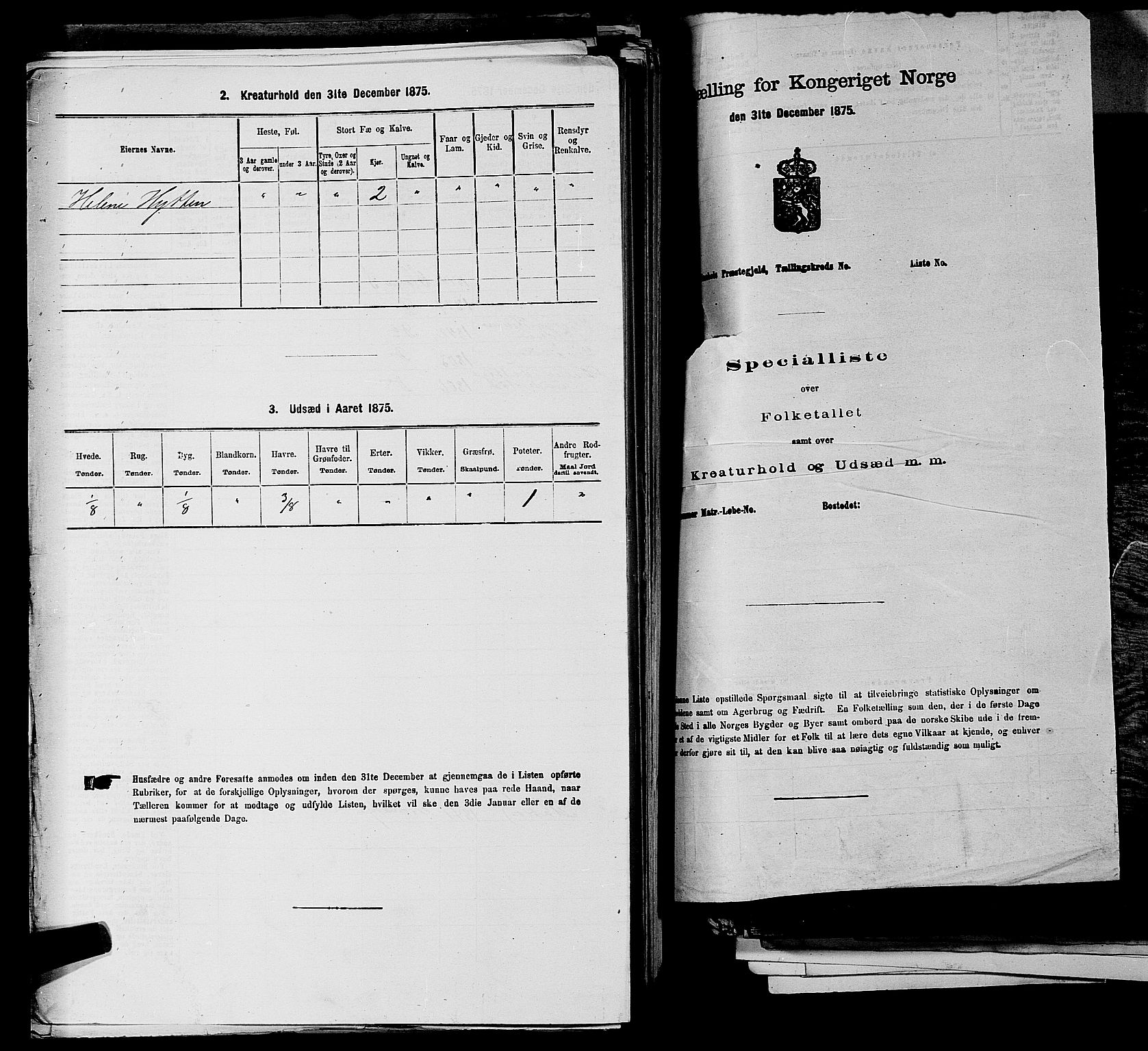 SAKO, 1875 census for 0721P Sem, 1875, p. 1131