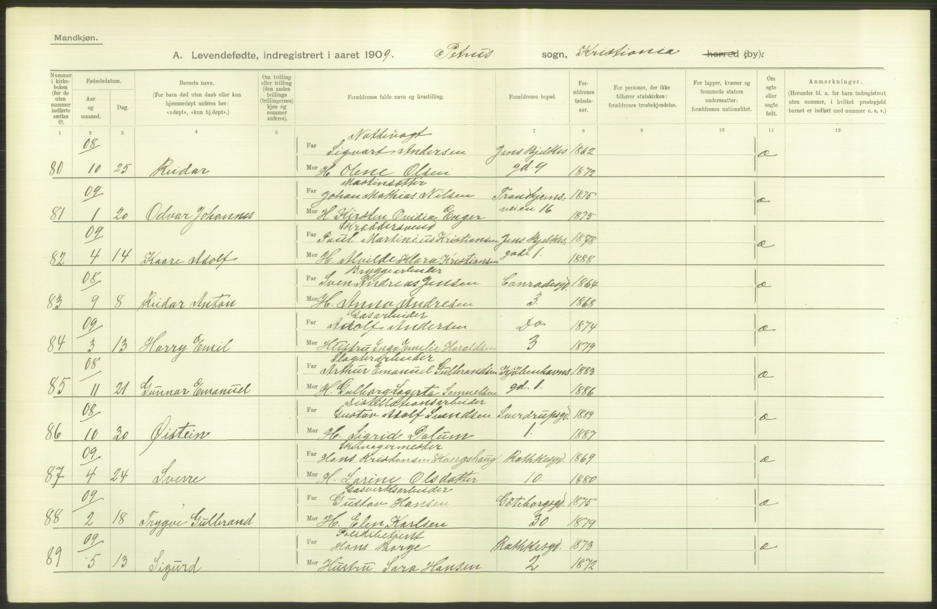 Statistisk sentralbyrå, Sosiodemografiske emner, Befolkning, AV/RA-S-2228/D/Df/Dfa/Dfag/L0007: Kristiania: Levendefødte menn og kvinner., 1909, p. 196