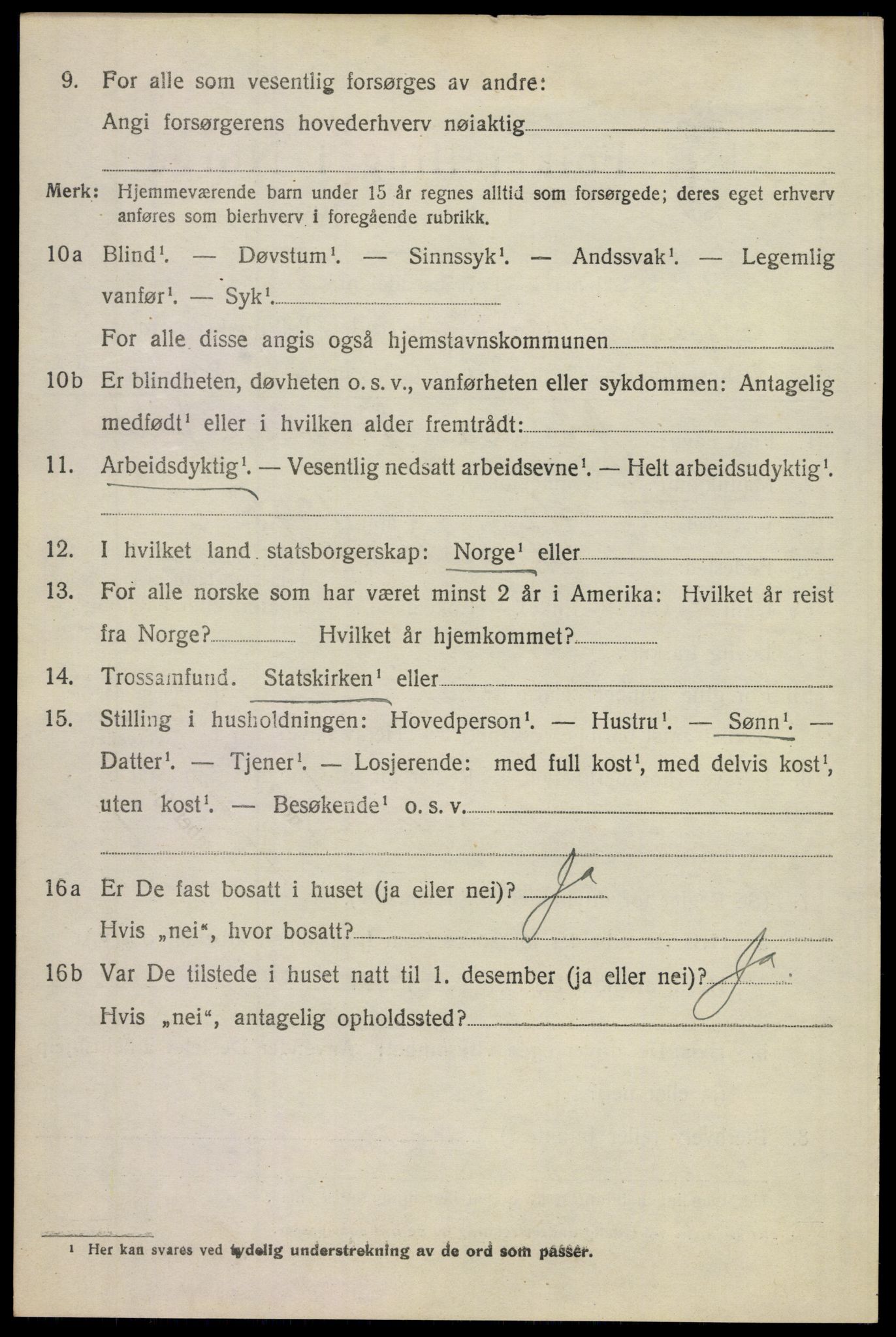 SAKO, 1920 census for Ytre Sandsvær, 1920, p. 1729