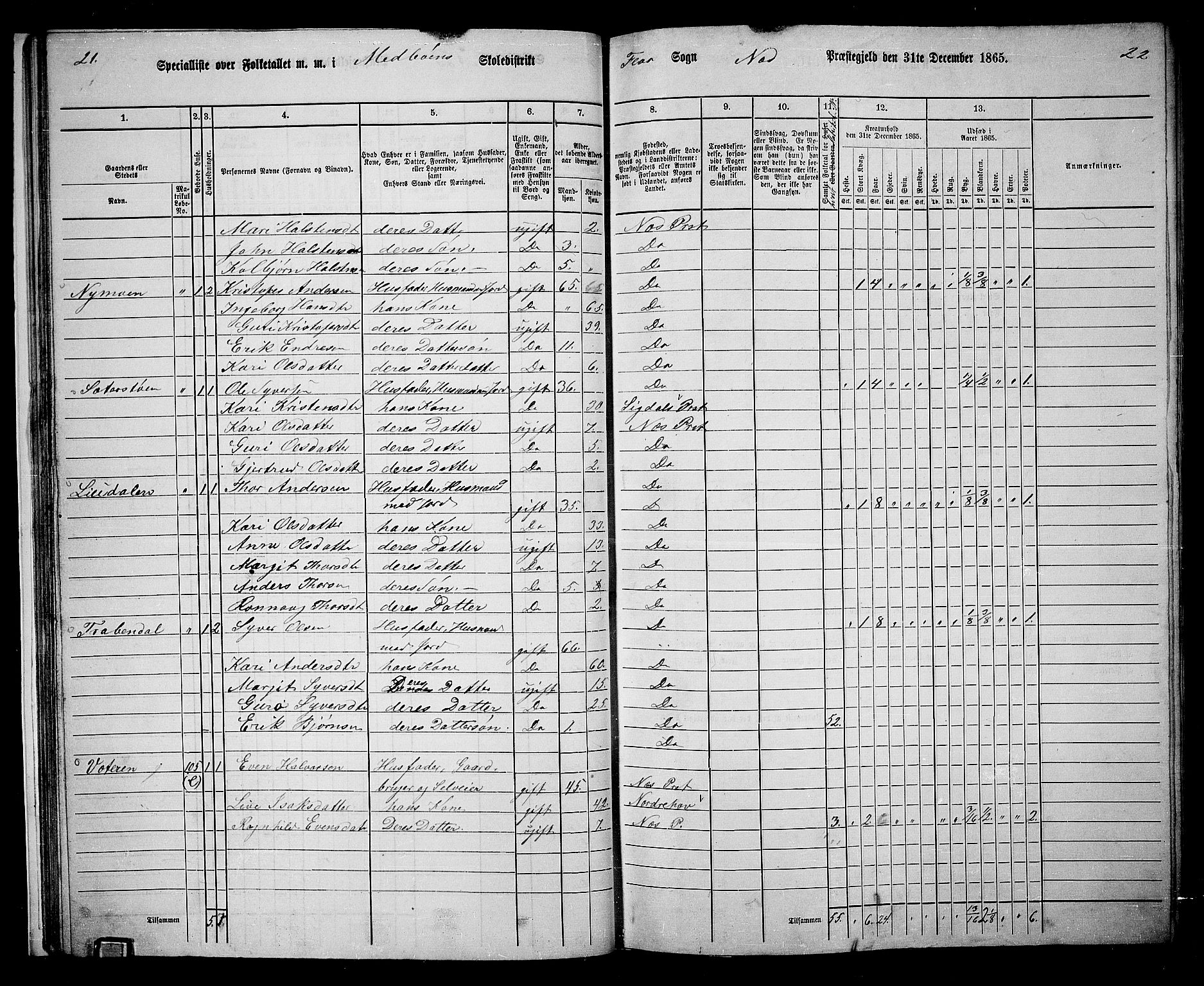 RA, 1865 census for Nes, 1865, p. 27