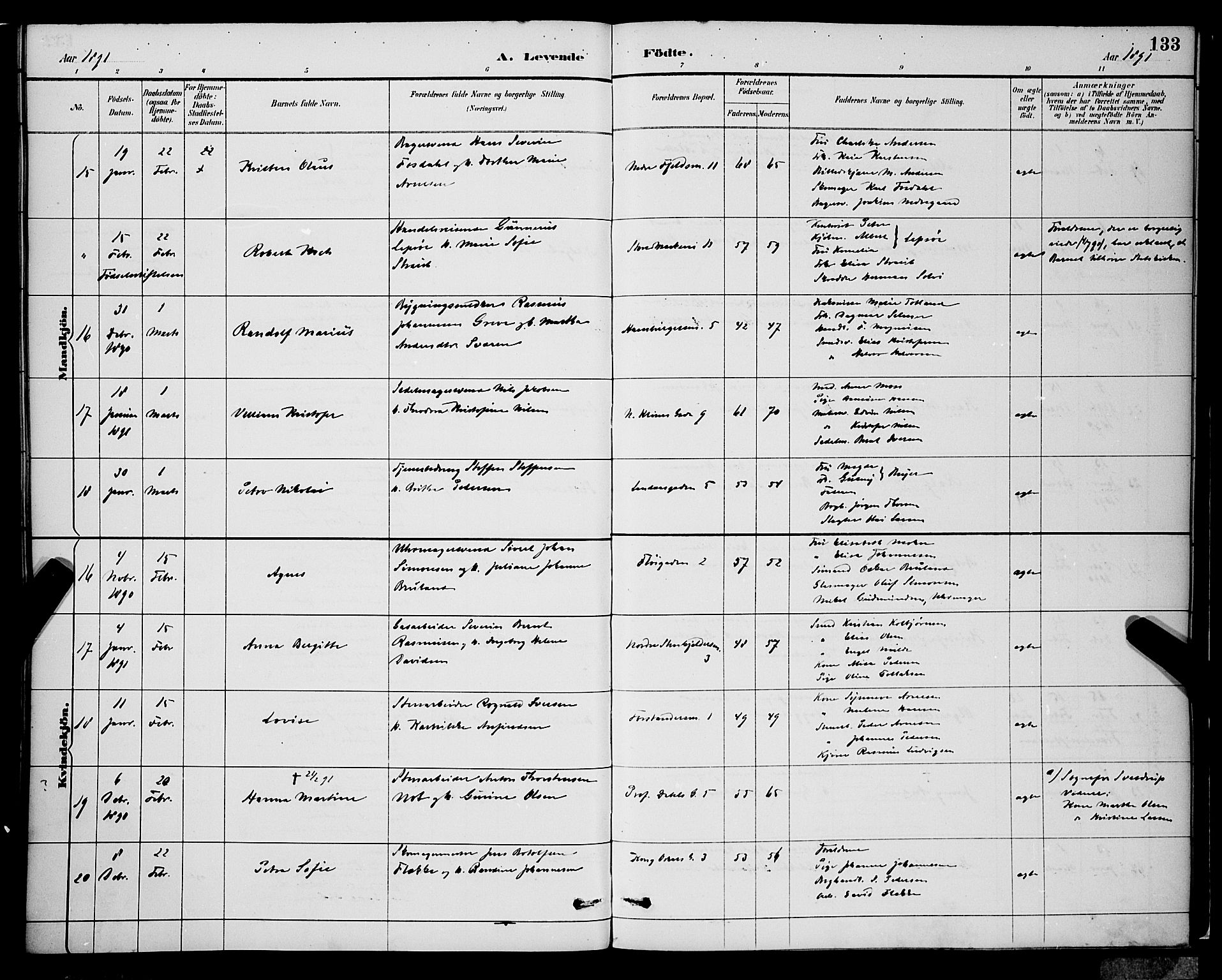 Korskirken sokneprestembete, AV/SAB-A-76101/H/Hab: Parish register (copy) no. B 9, 1887-1896, p. 133