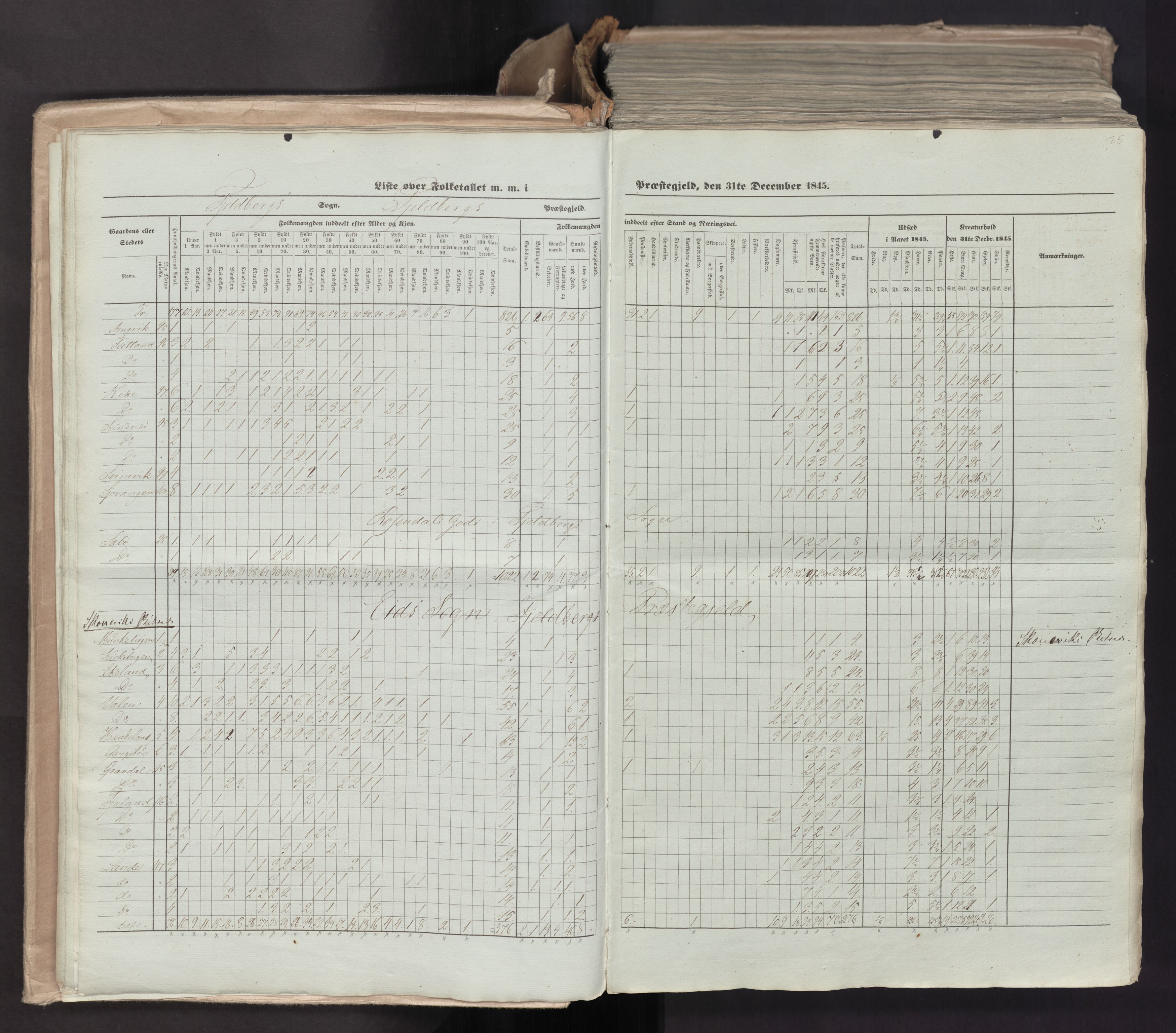 RA, Census 1845, vol. 7: Søndre Bergenhus amt og Nordre Bergenhus amt, 1845, p. 25