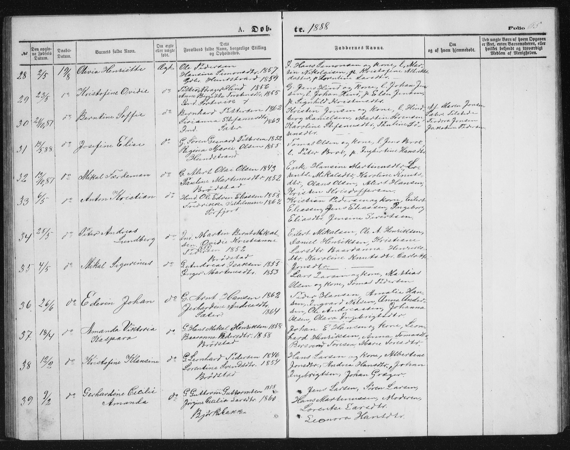 Tranøy sokneprestkontor, AV/SATØ-S-1313/I/Ia/Iab/L0013klokker: Parish register (copy) no. 13, 1874-1896, p. 65