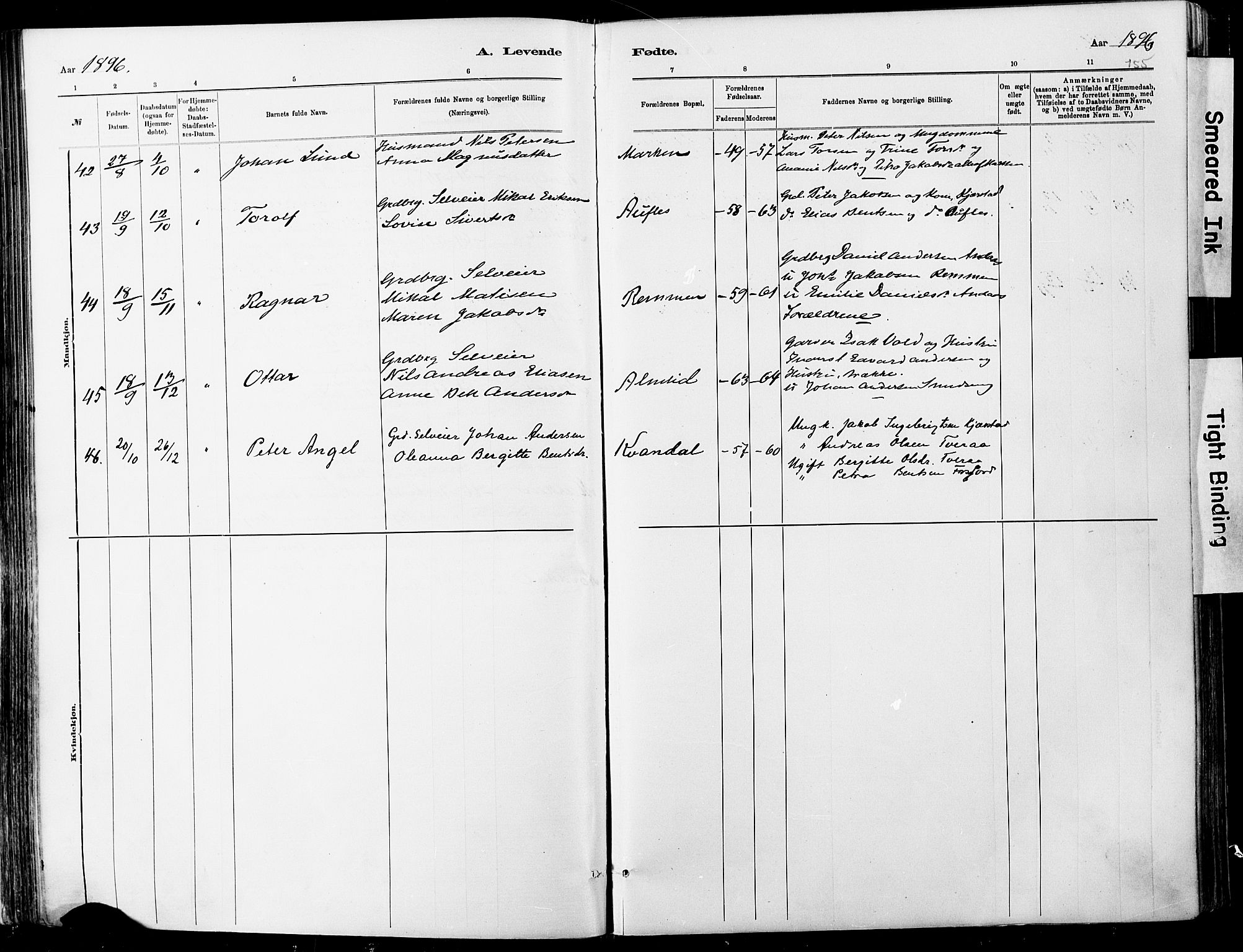 Ministerialprotokoller, klokkerbøker og fødselsregistre - Nordland, SAT/A-1459/820/L0295: Parish register (official) no. 820A16, 1880-1896, p. 155
