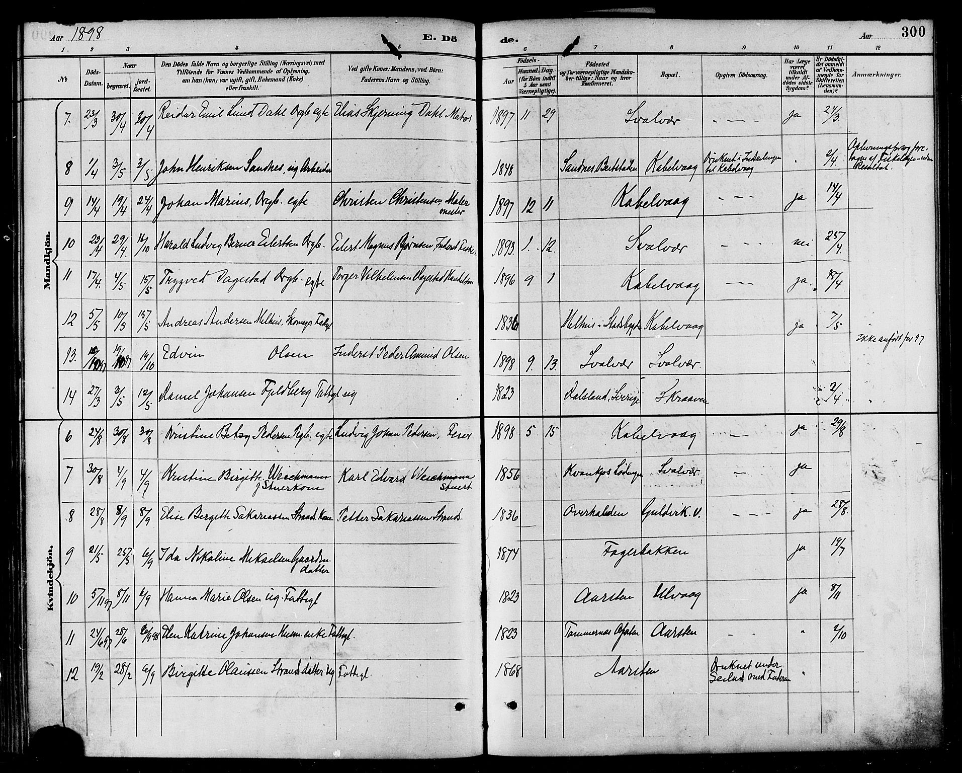 Ministerialprotokoller, klokkerbøker og fødselsregistre - Nordland, SAT/A-1459/874/L1060: Parish register (official) no. 874A04, 1890-1899, p. 300
