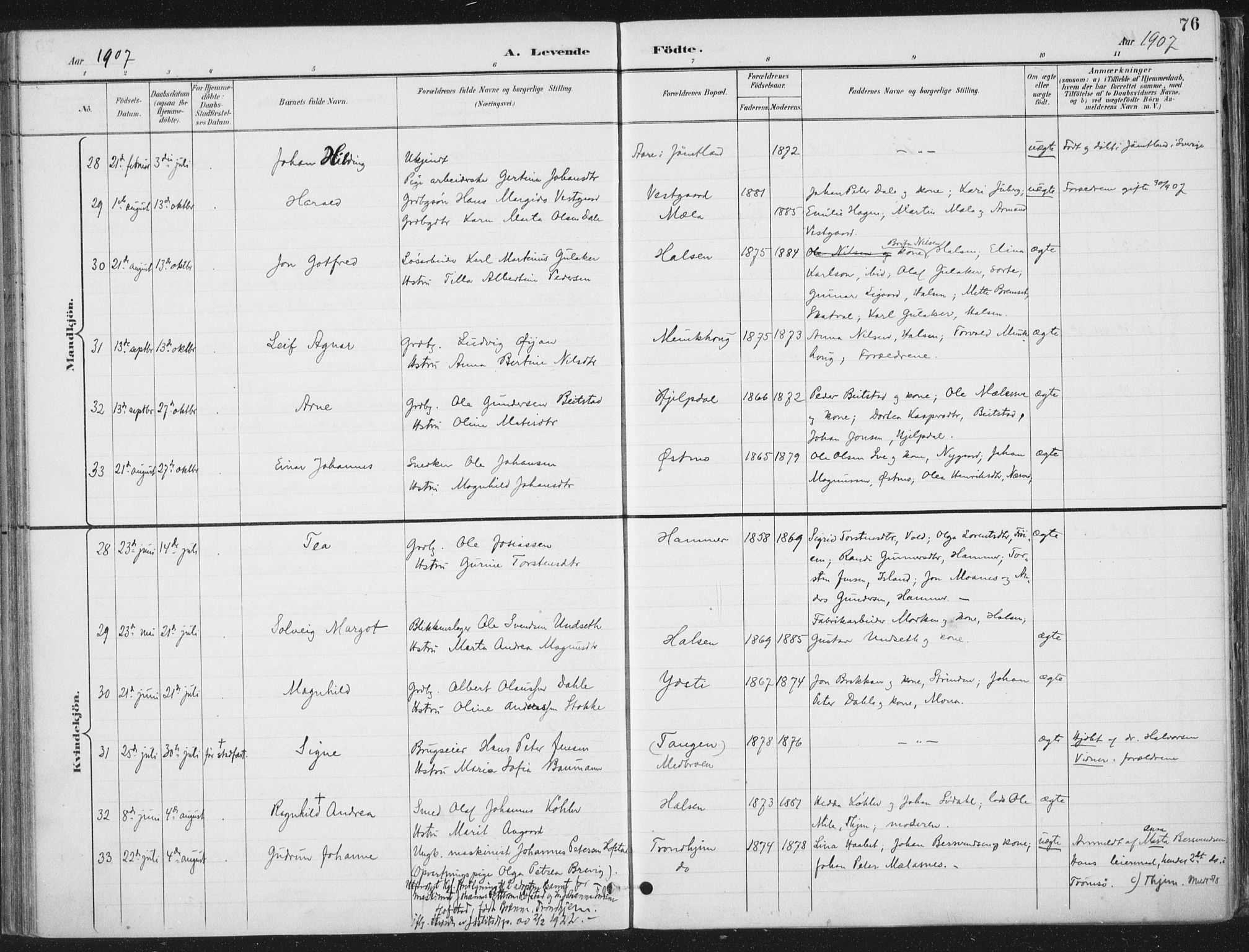 Ministerialprotokoller, klokkerbøker og fødselsregistre - Nord-Trøndelag, AV/SAT-A-1458/709/L0082: Parish register (official) no. 709A22, 1896-1916, p. 76