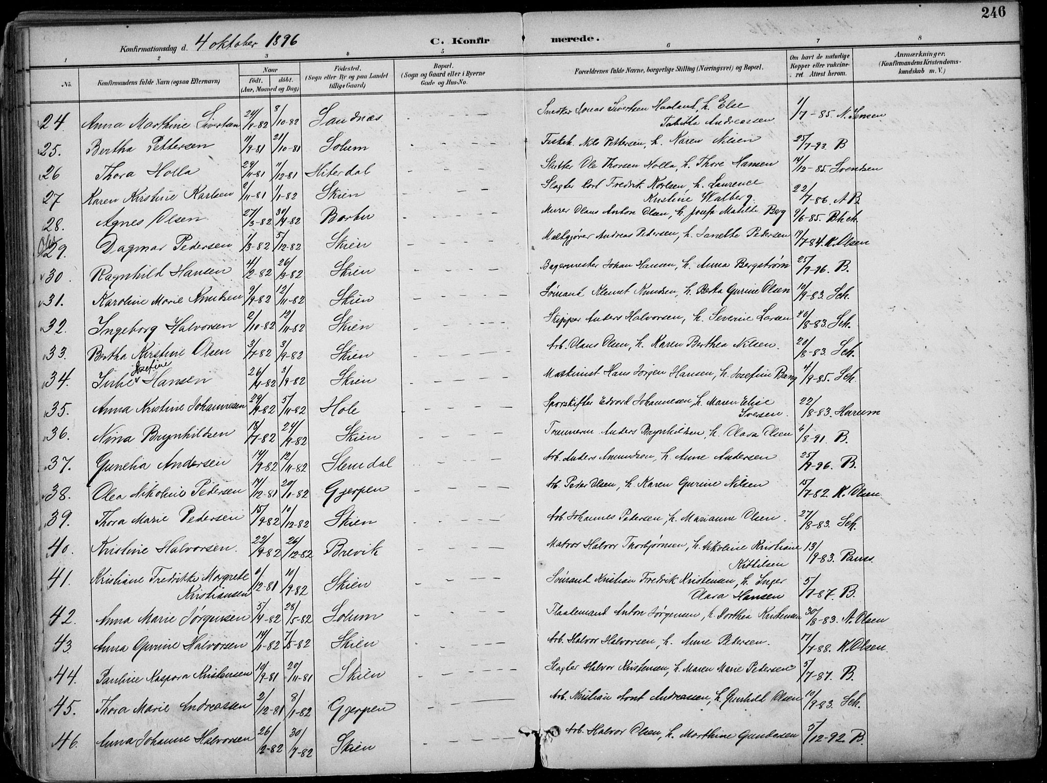 Skien kirkebøker, SAKO/A-302/F/Fa/L0010: Parish register (official) no. 10, 1891-1899, p. 246