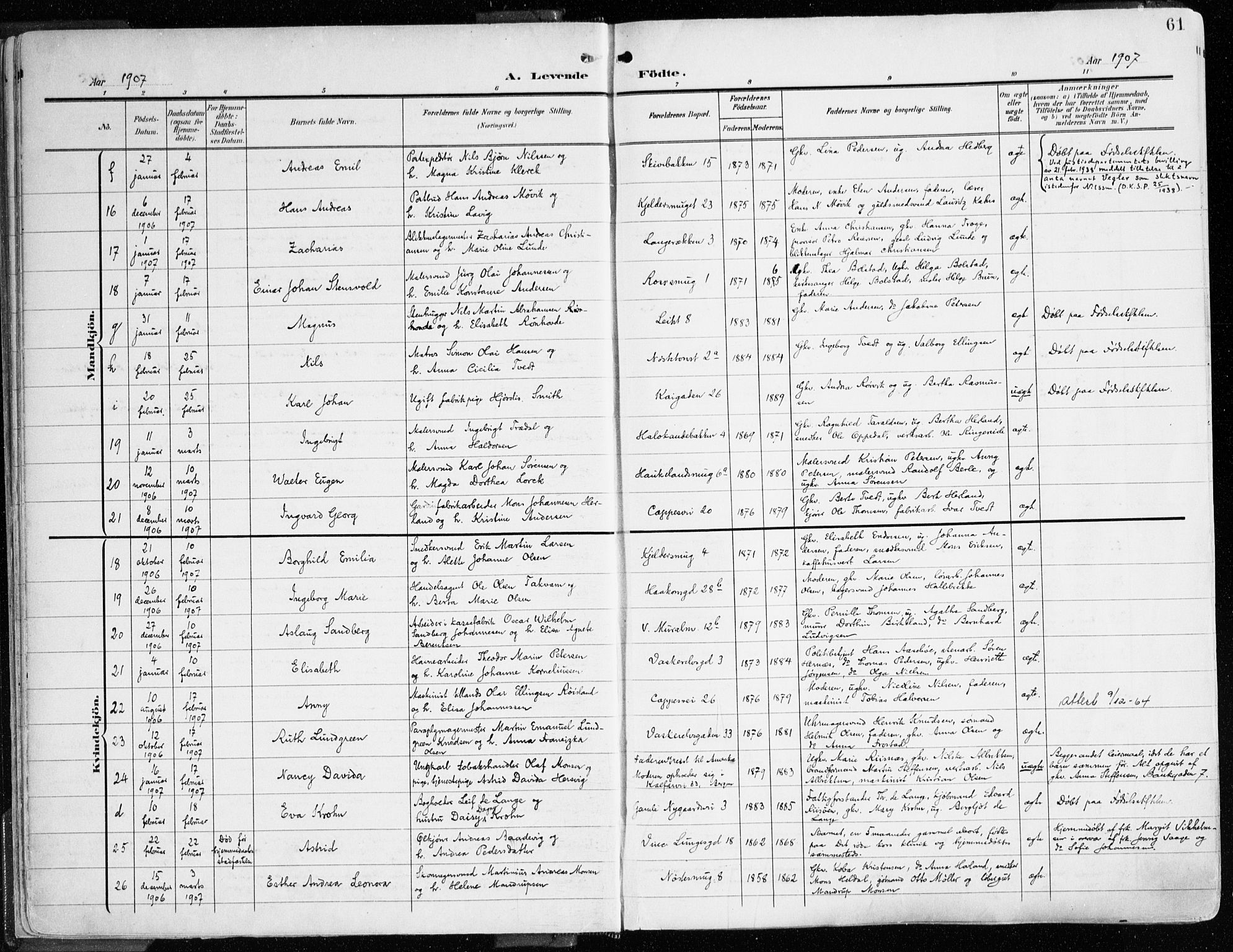 Domkirken sokneprestembete, AV/SAB-A-74801/H/Haa/L0025: Parish register (official) no. B 8, 1903-1925, p. 61