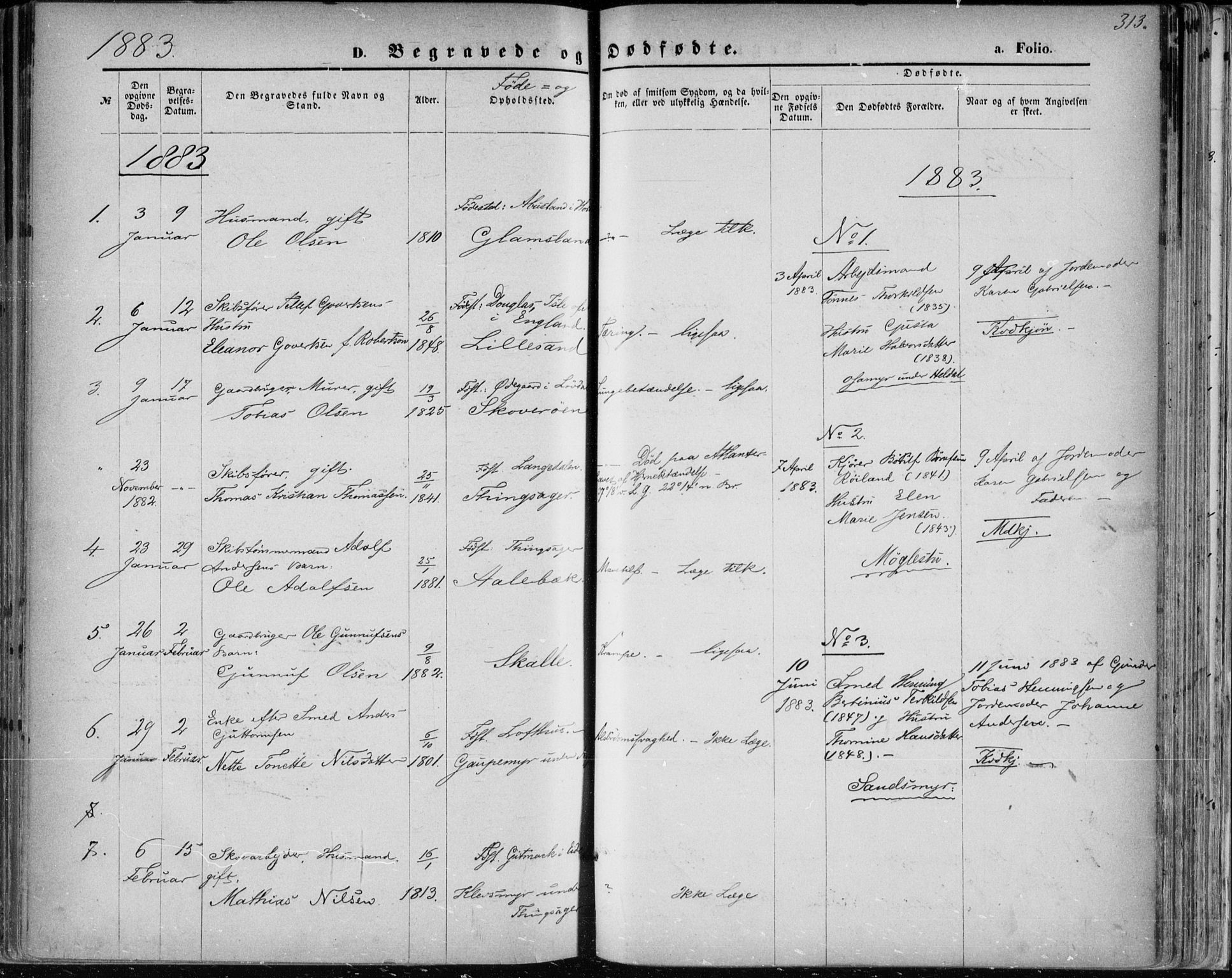 Vestre Moland sokneprestkontor, SAK/1111-0046/F/Fa/Fab/L0008: Parish register (official) no. A 8, 1873-1883, p. 313