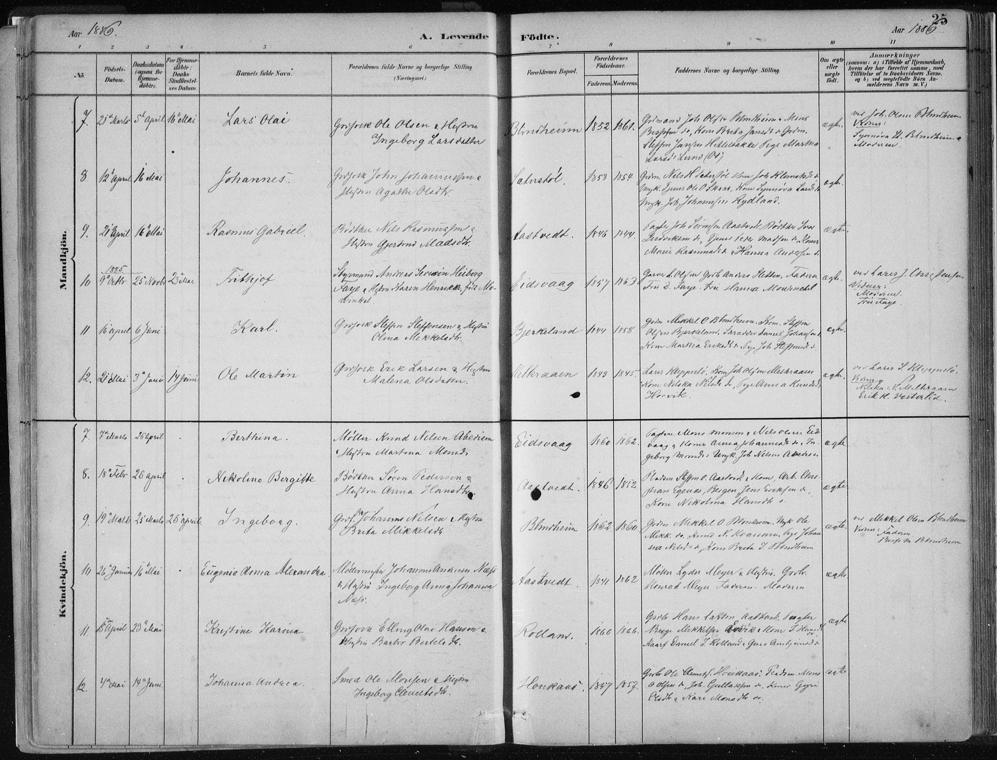 Hamre sokneprestembete, AV/SAB-A-75501/H/Ha/Haa/Haad/L0001: Parish register (official) no. D  1, 1882-1906, p. 25