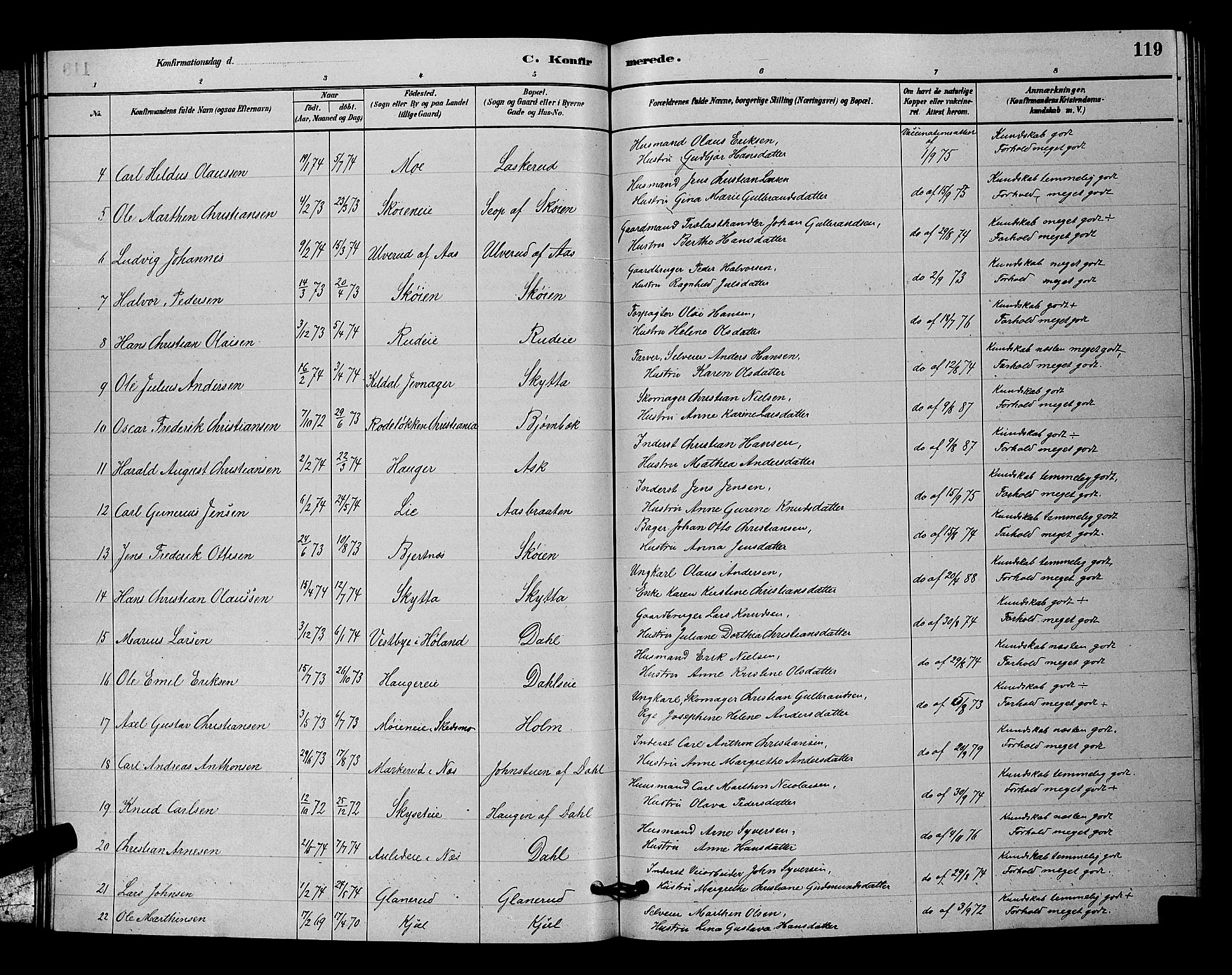 Nittedal prestekontor Kirkebøker, SAO/A-10365a/G/Ga/L0002: Parish register (copy) no. I 2, 1879-1901, p. 119