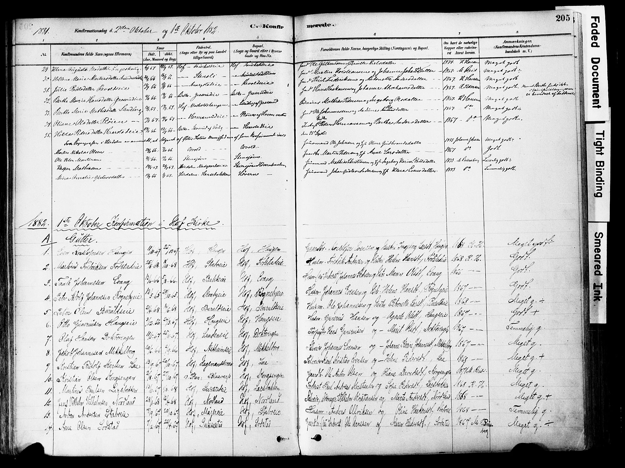 Østre Toten prestekontor, SAH/PREST-104/H/Ha/Haa/L0006: Parish register (official) no. 6 /1, 1878-1896, p. 205