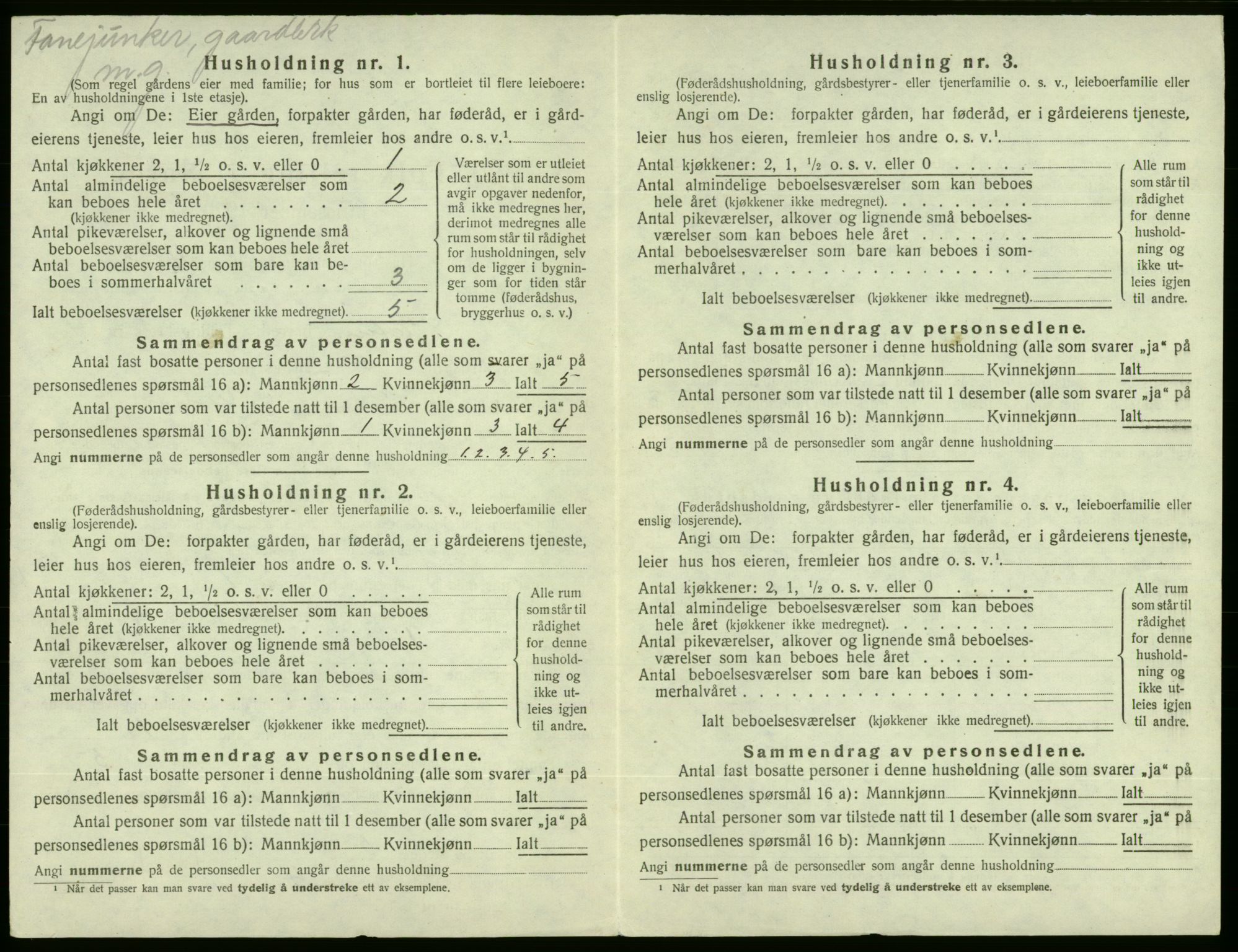SAB, 1920 census for Etne, 1920, p. 347