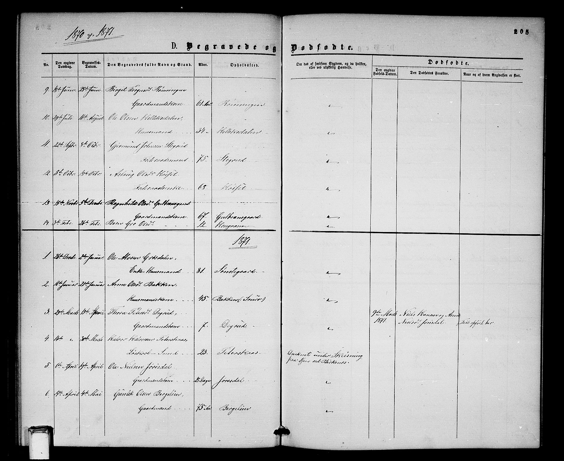 Gransherad kirkebøker, AV/SAKO-A-267/G/Gb/L0002: Parish register (copy) no. II 2, 1860-1886, p. 205