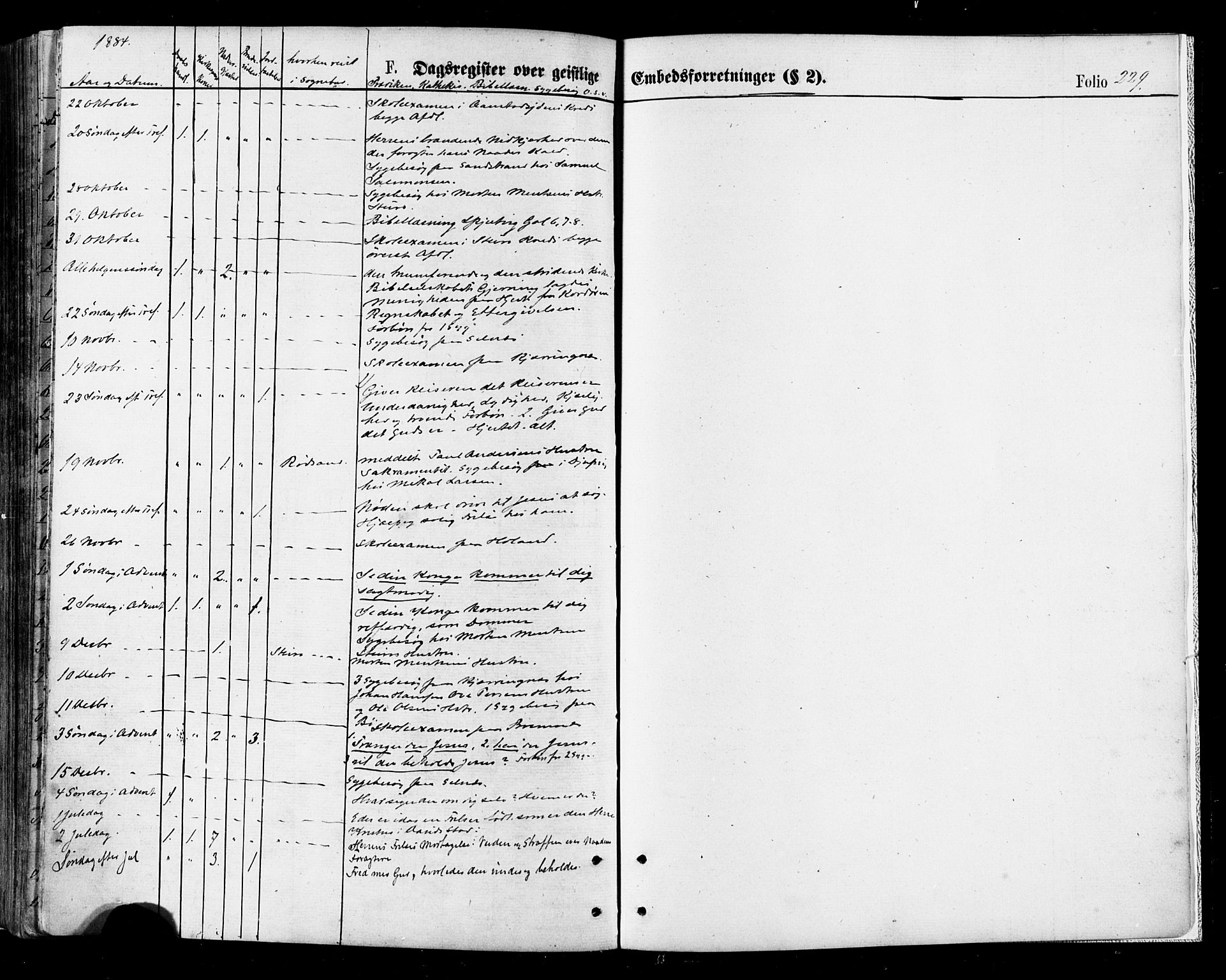 Ministerialprotokoller, klokkerbøker og fødselsregistre - Nordland, AV/SAT-A-1459/895/L1370: Parish register (official) no. 895A05, 1873-1884, p. 229