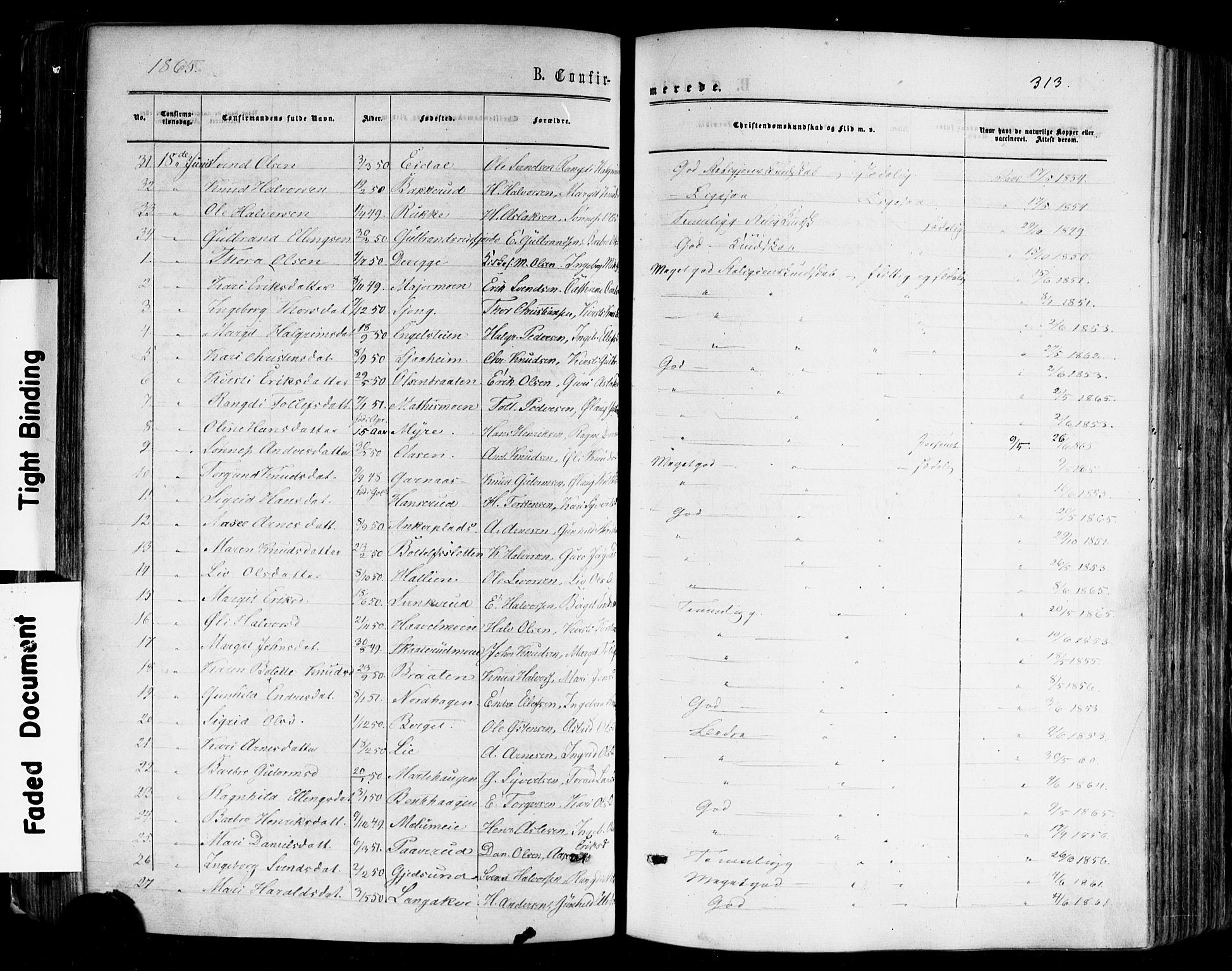 Nes kirkebøker, AV/SAKO-A-236/F/Fa/L0010: Parish register (official) no. 10, 1864-1880, p. 313