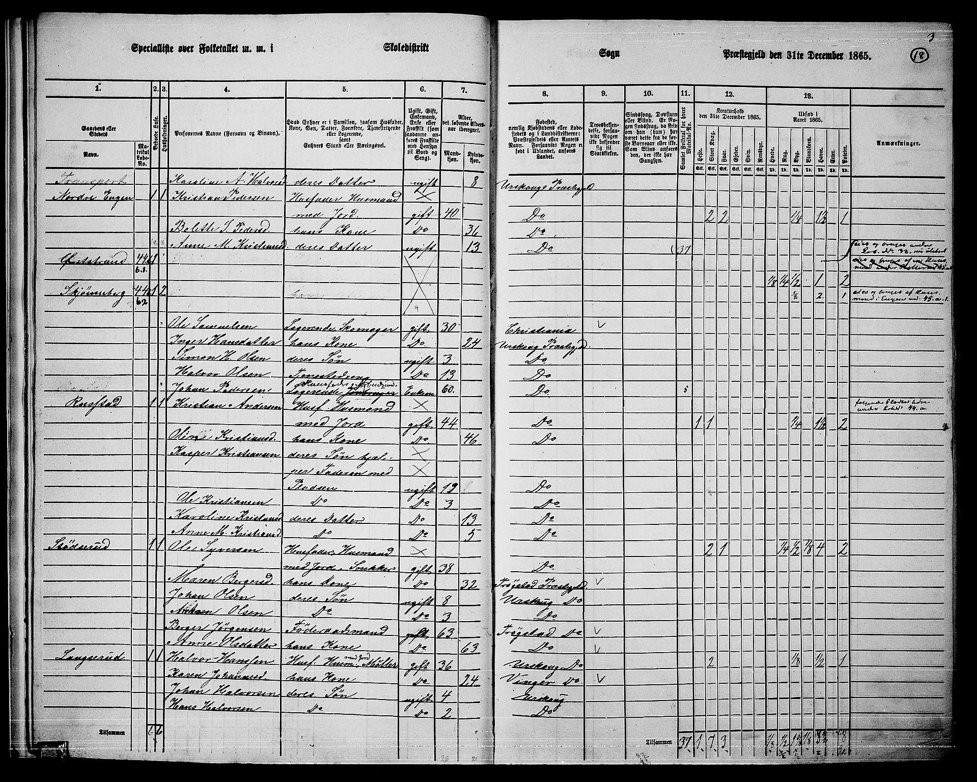 RA, 1865 census for Aurskog, 1865, p. 17