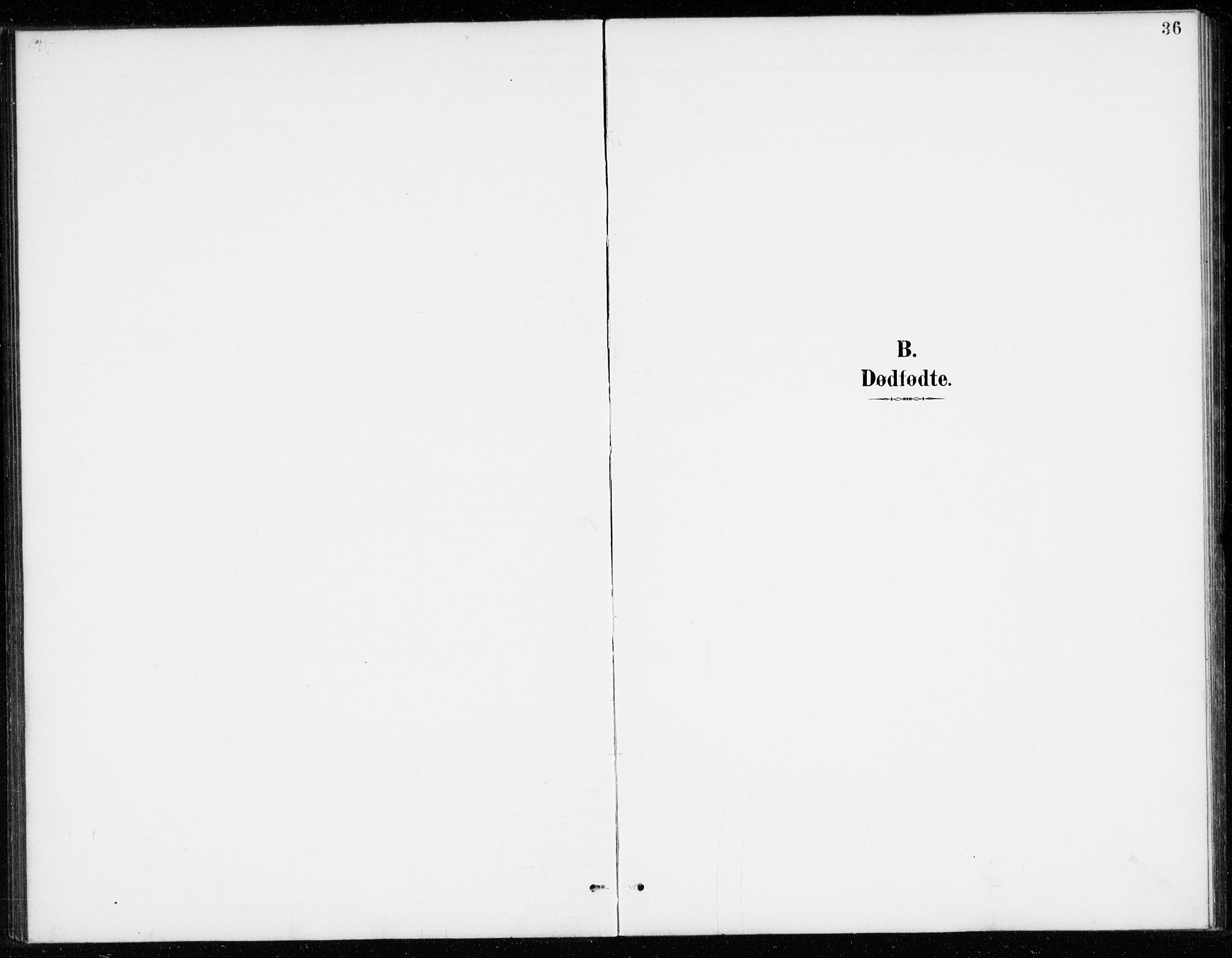 Vinje kirkebøker, SAKO/A-312/G/Gb/L0003: Parish register (copy) no. II 3, 1892-1943, p. 36