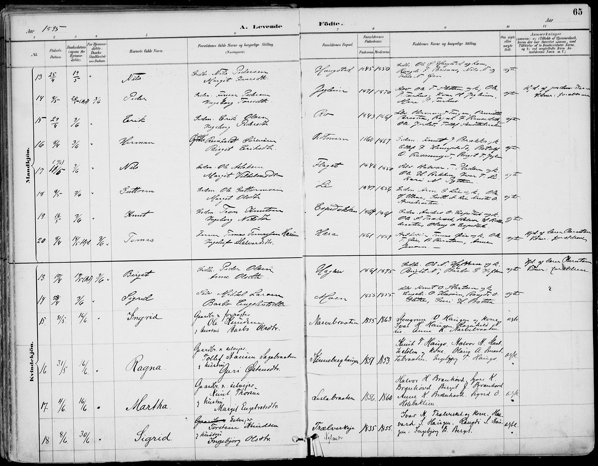 Gol kirkebøker, AV/SAKO-A-226/F/Fa/L0005: Parish register (official) no. I 5, 1887-1900, p. 65