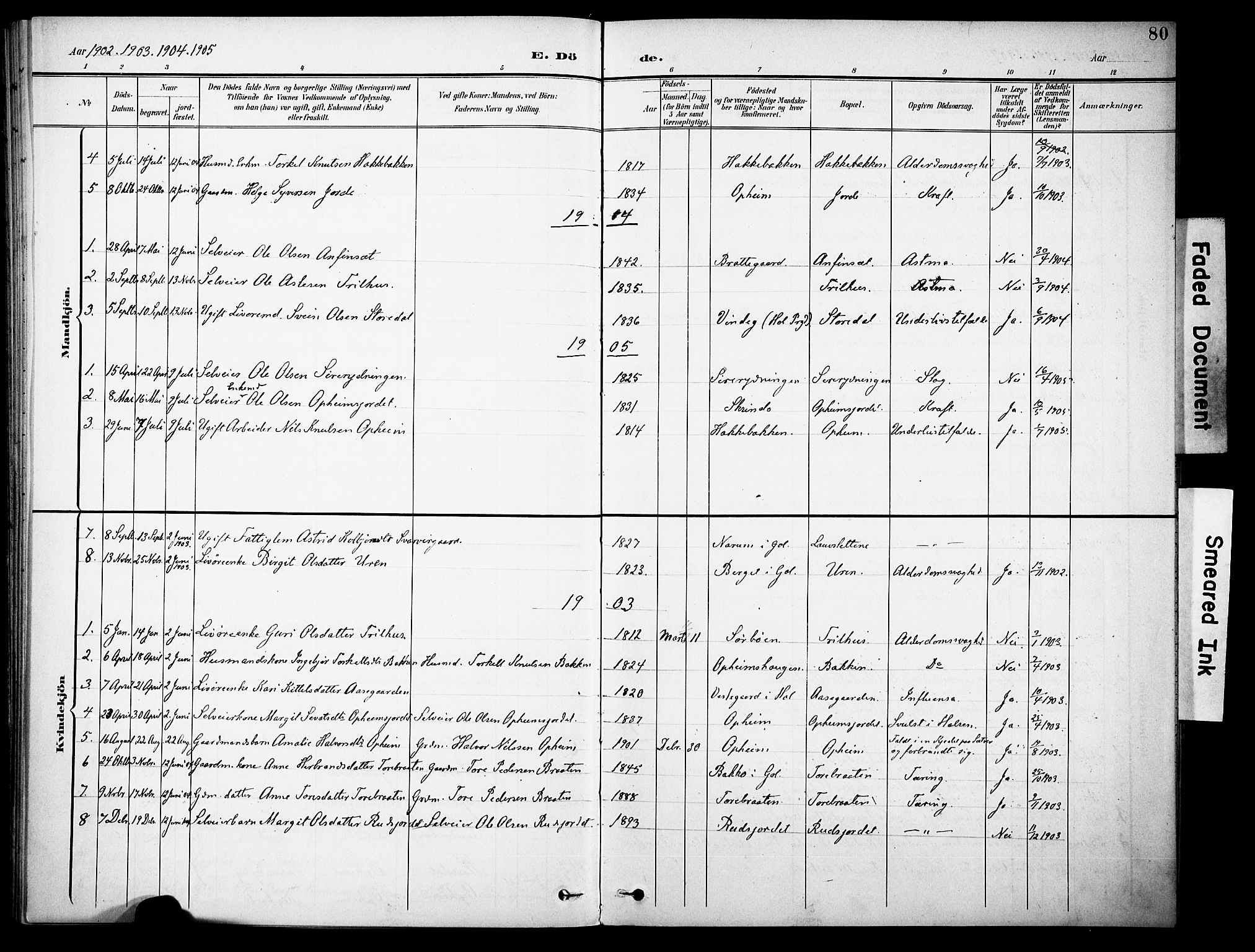 Ål kirkebøker, AV/SAKO-A-249/F/Fb/L0002: Parish register (official) no. II 2, 1900-1933, p. 80