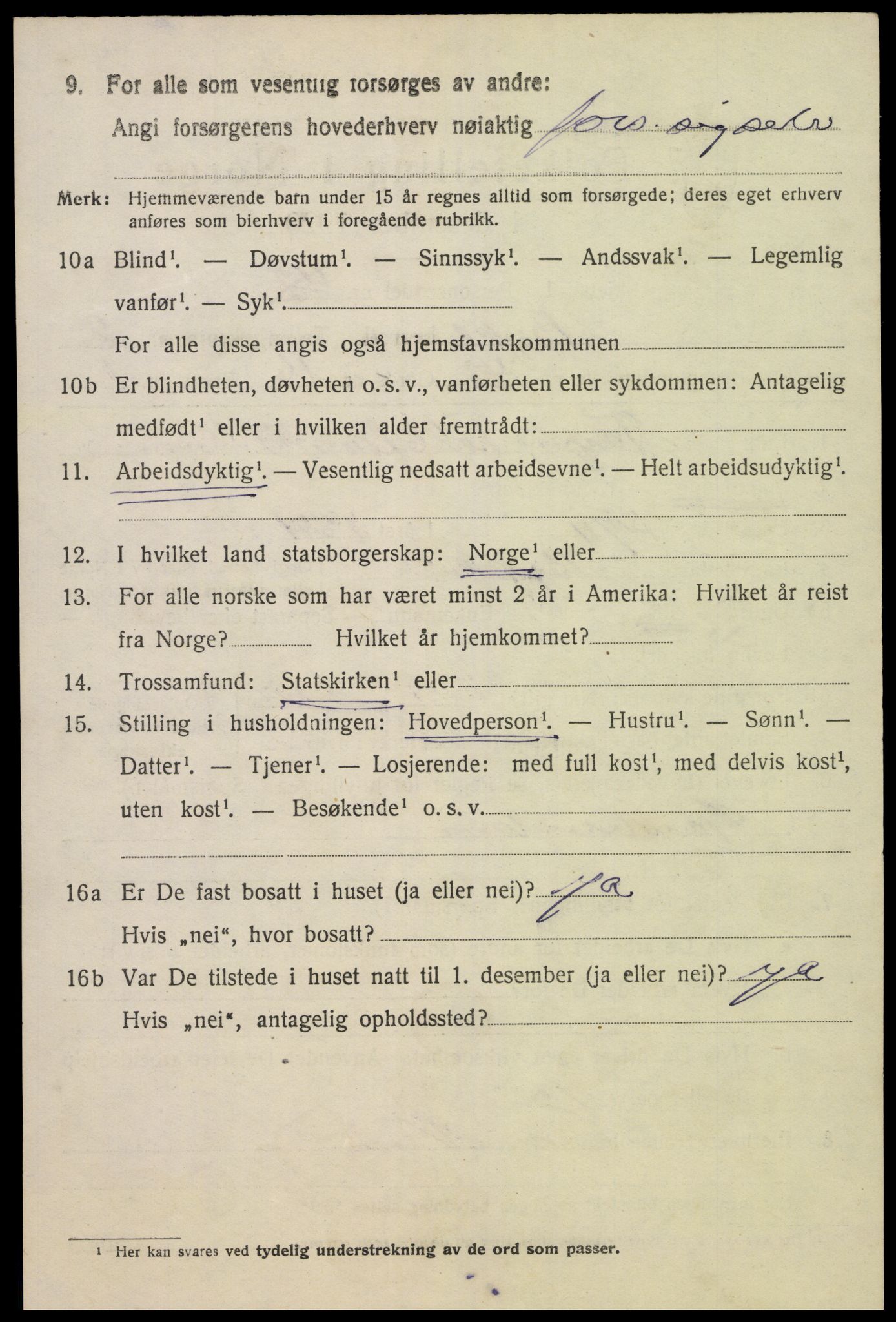 SAK, 1920 census for Bykle, 1920, p. 996