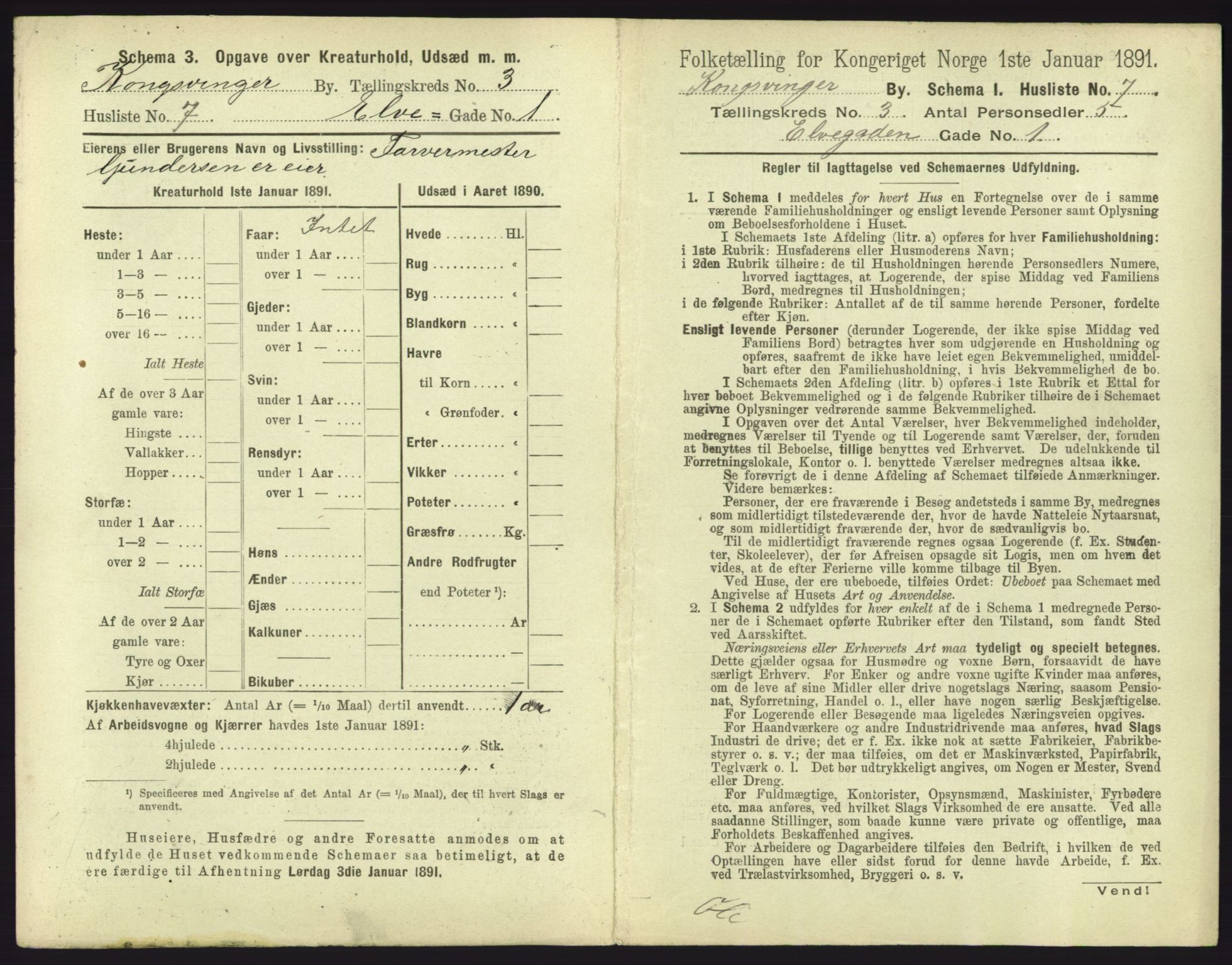 RA, 1891 census for 0402 Kongsvinger, 1891, p. 215