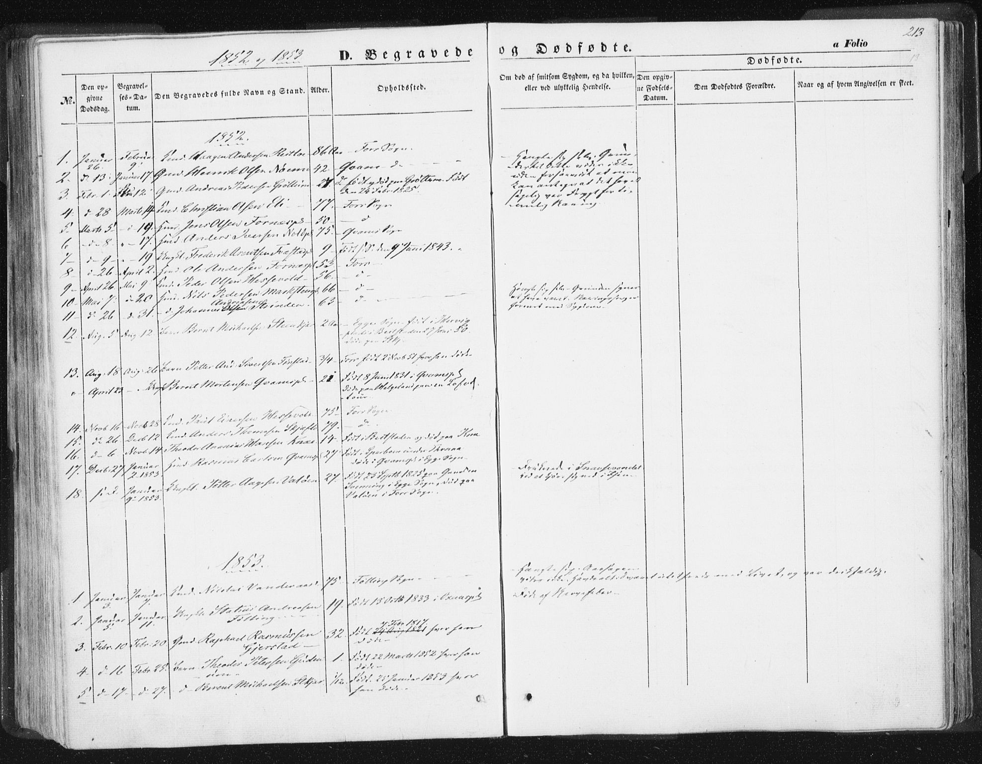 Ministerialprotokoller, klokkerbøker og fødselsregistre - Nord-Trøndelag, SAT/A-1458/746/L0446: Parish register (official) no. 746A05, 1846-1859, p. 213
