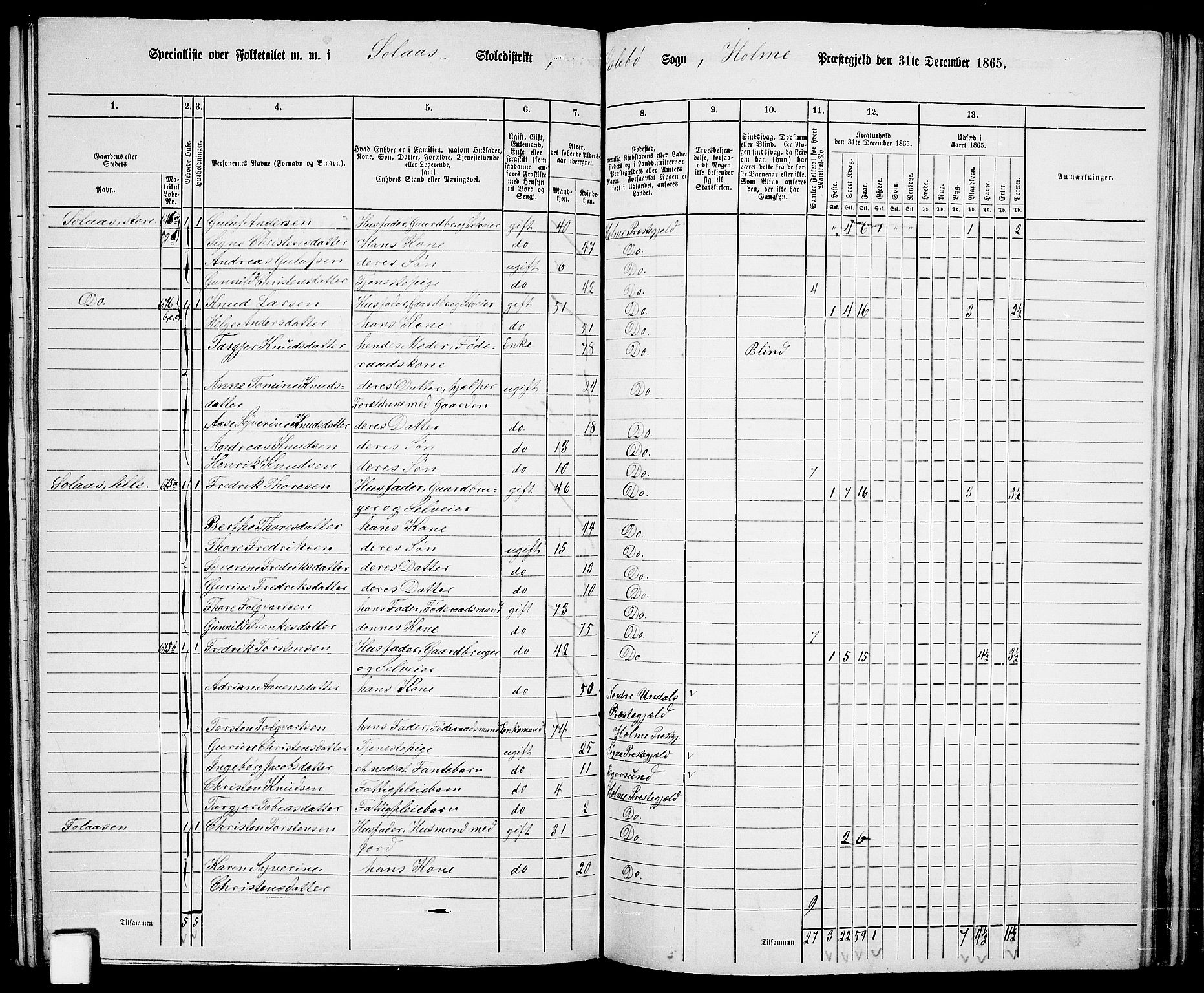 RA, 1865 census for Holum, 1865, p. 116